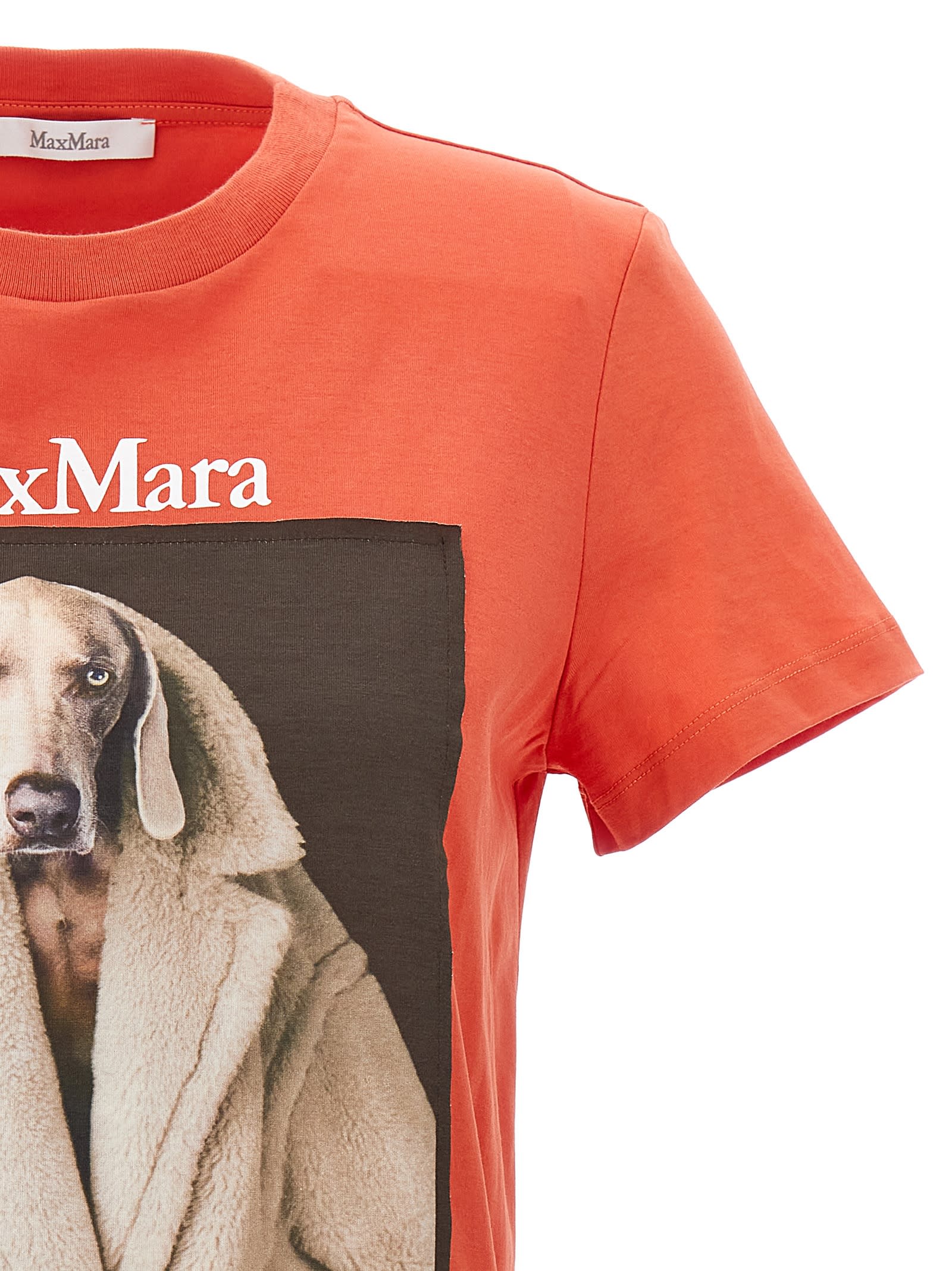 Max Mara Valido Graphic-print Cotton T-shirt In Multicolor