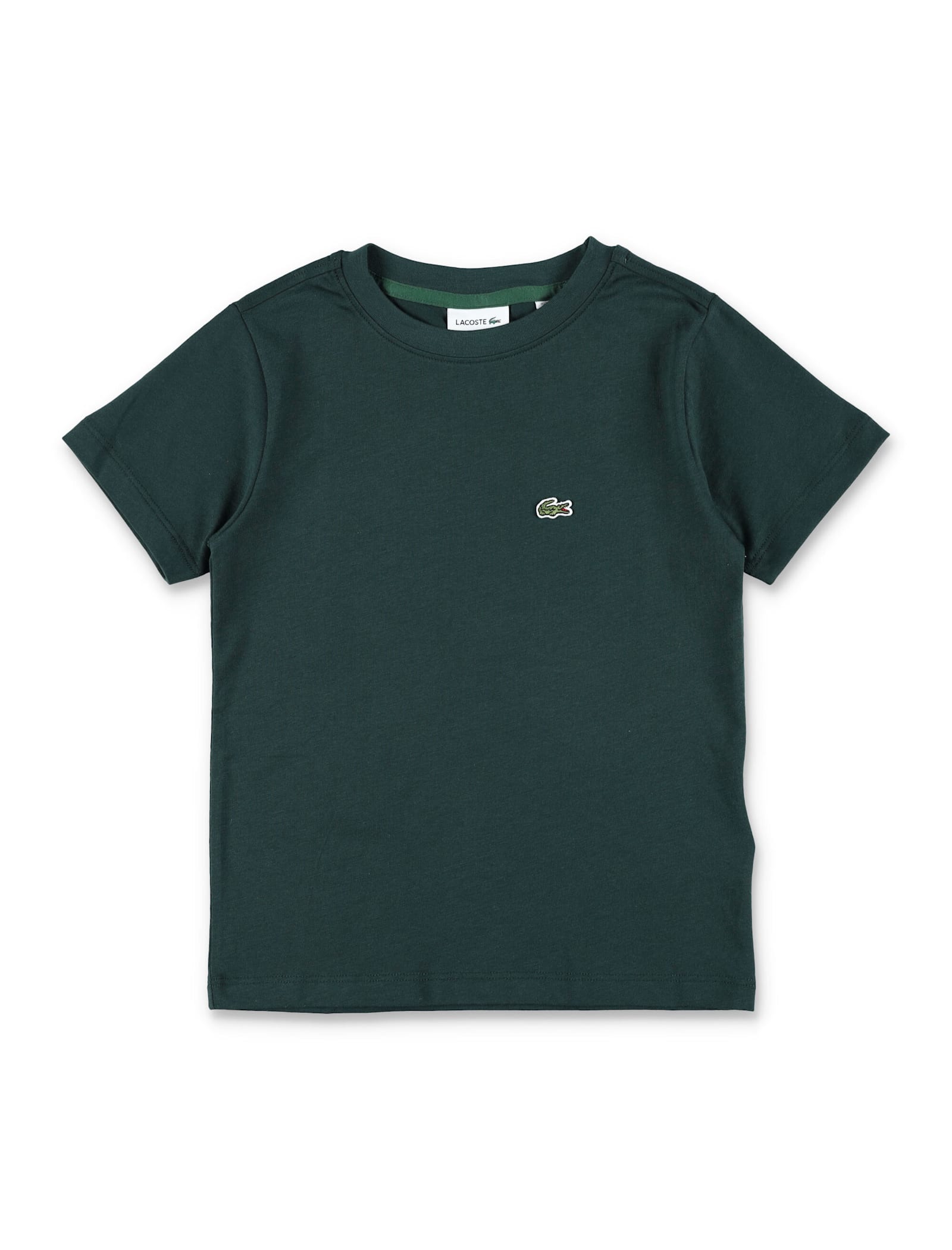 Lacoste Kids Organic Cotton T-shirt In Green