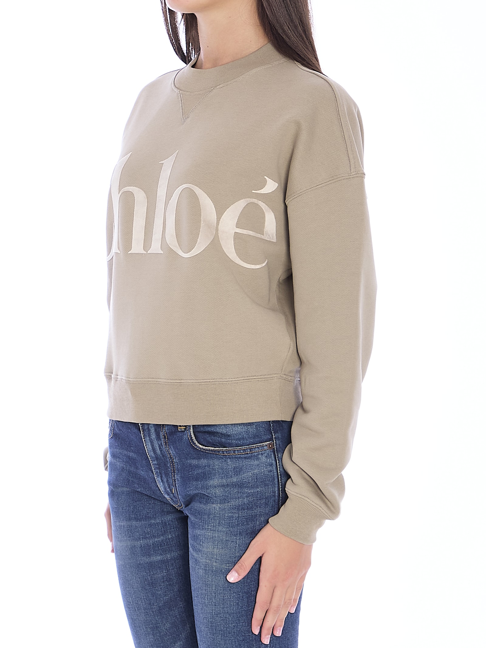 Shop Chloé Logo Sweatshirt In Grey