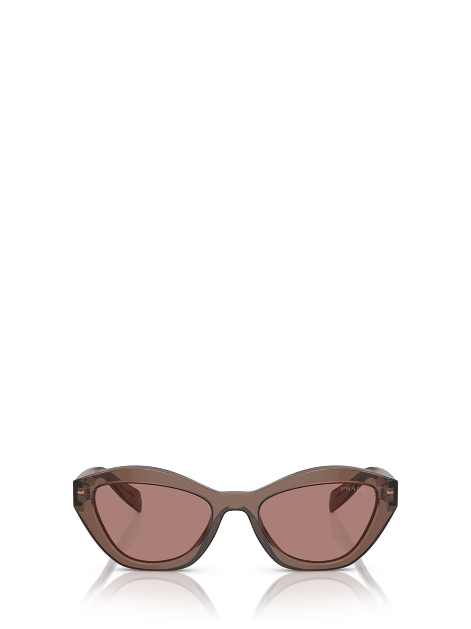 Pr A02s Brown Transparent Sunglasses