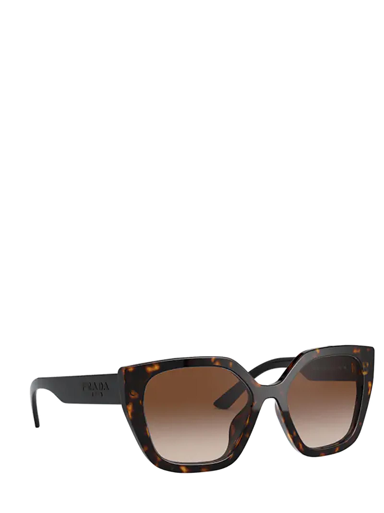 Shop Prada Pr 24xs Havana Sunglasses