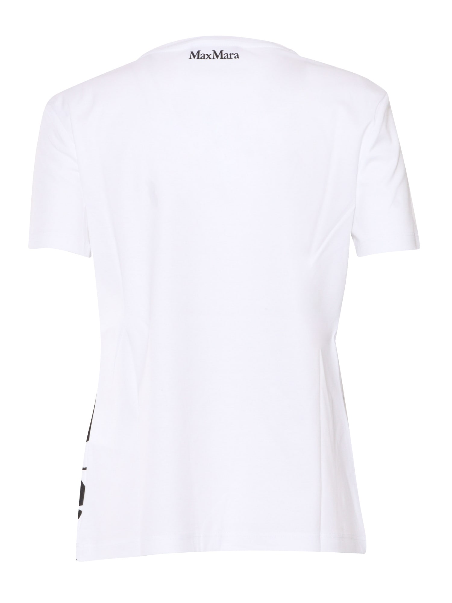 Max Mara Studio Floral Printed Crewneck T