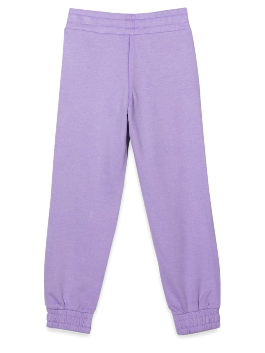 Shop Tommy Hilfiger Overprint Sweatpant In Purple
