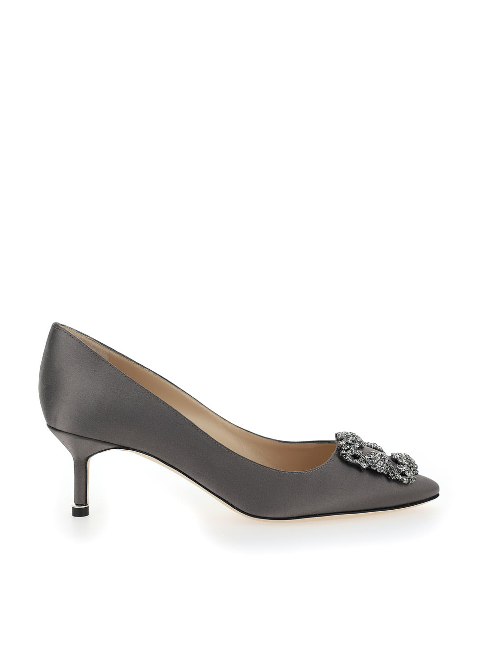 Shop Manolo Blahnik Hangisi Pumps In Dgry