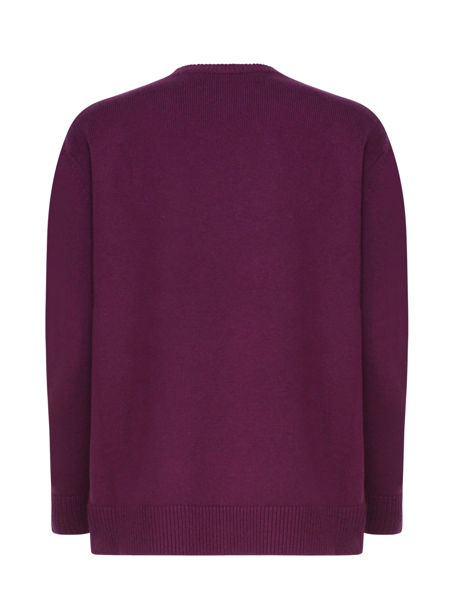 Shop Max Mara Plata Pullover In Wool, Cashmere And Sequins In .