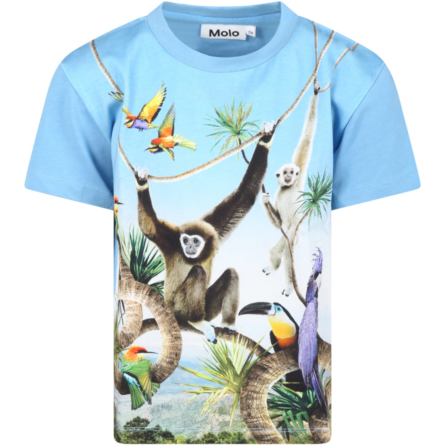 Molo Light-blue T-shirt For Boy With Animals