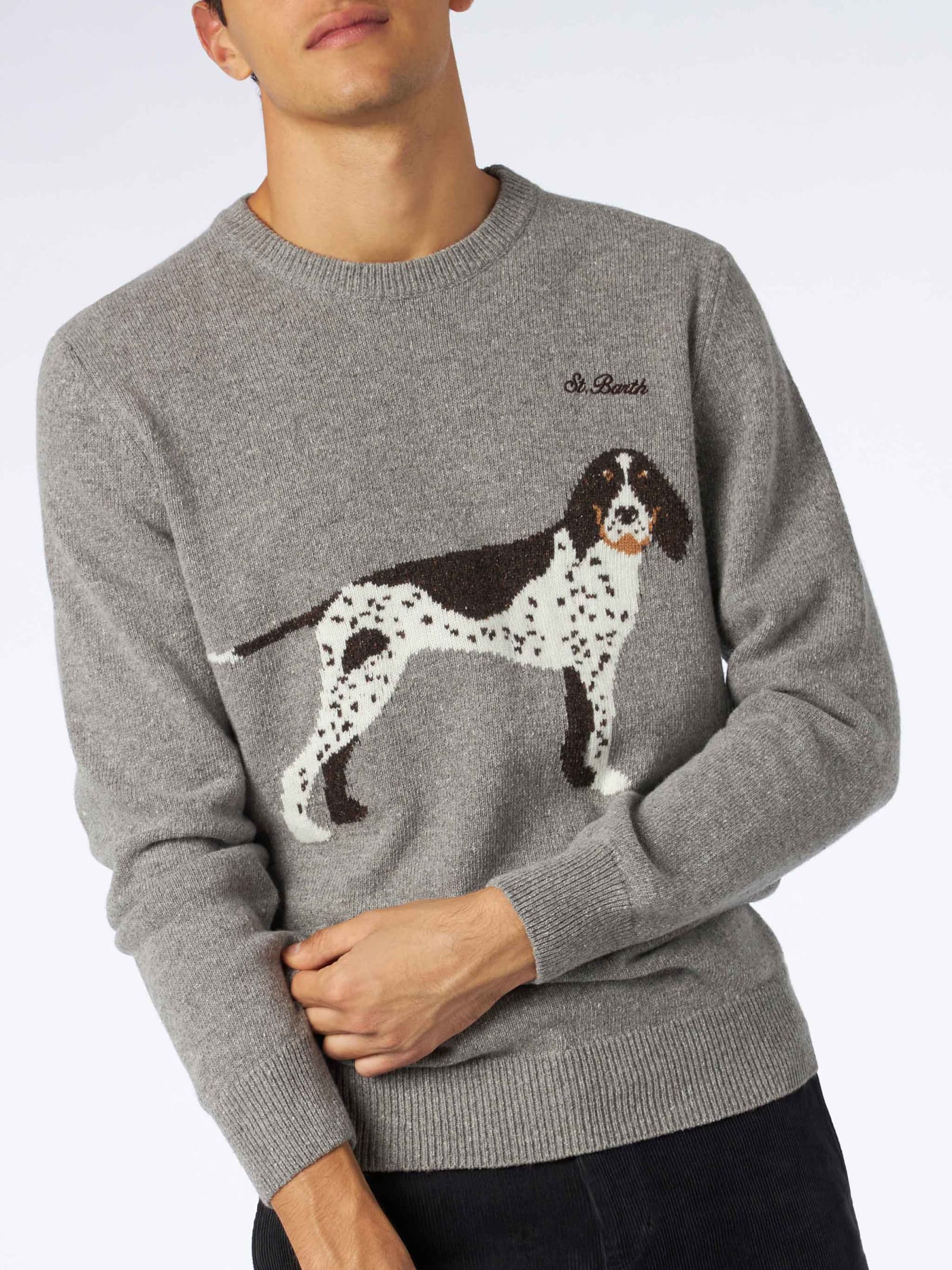 Shop Mc2 Saint Barth Man Crewneck Donegal Sweater With Country Dog Jacquard Print In Grey