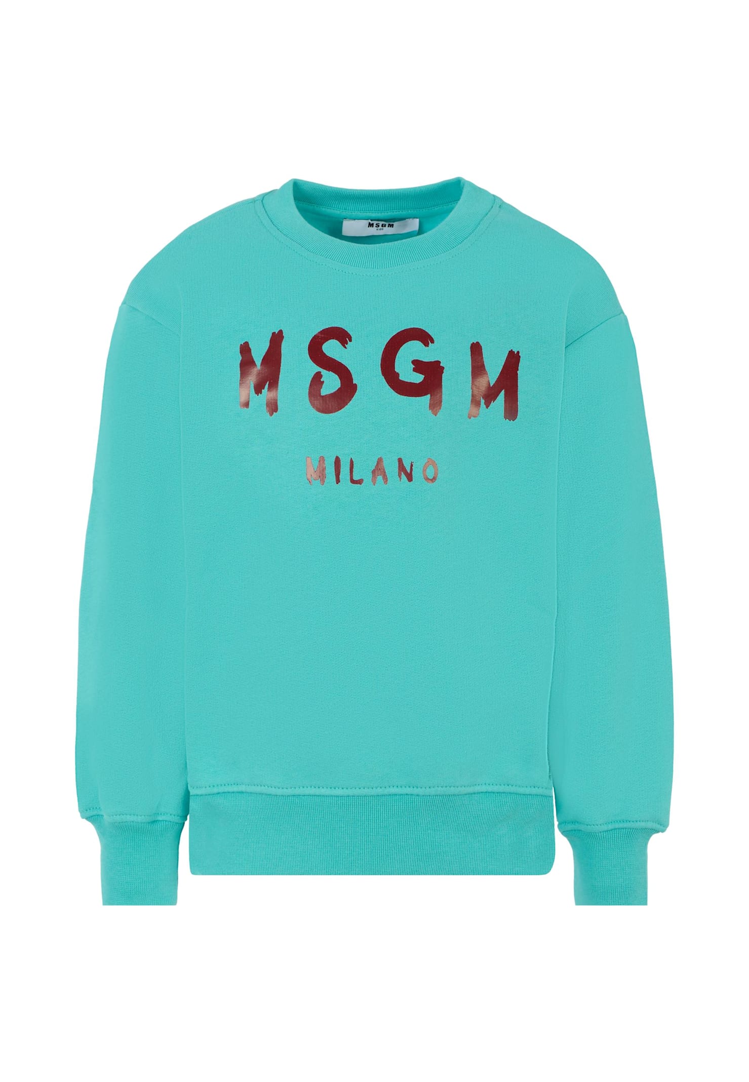 Msgm Light Blue Sweatshirt For Kids With Logo In Multi