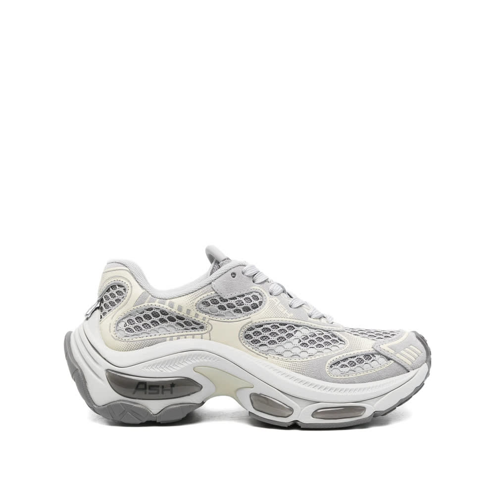 Ash Dragon Sneaker In Gray