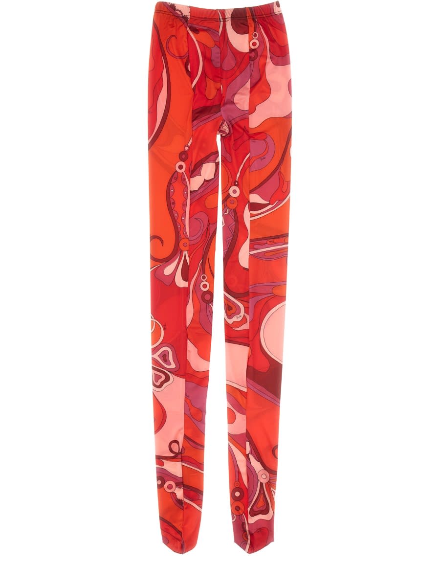 Shop Pucci Tights With Orchid Print In Multicolour