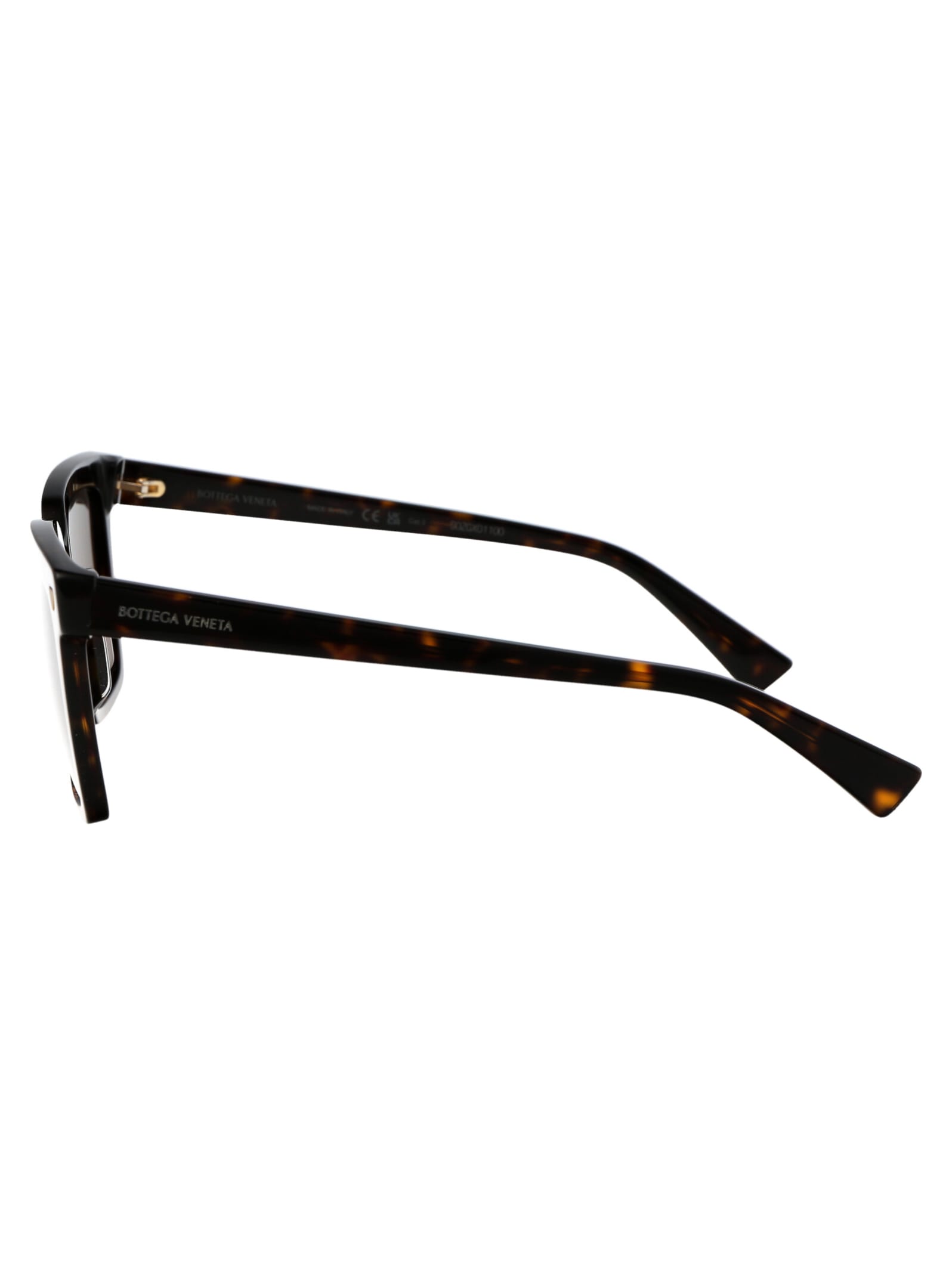Bottega Veneta Havana Havana Brown Acetate Sunglasses In Brown