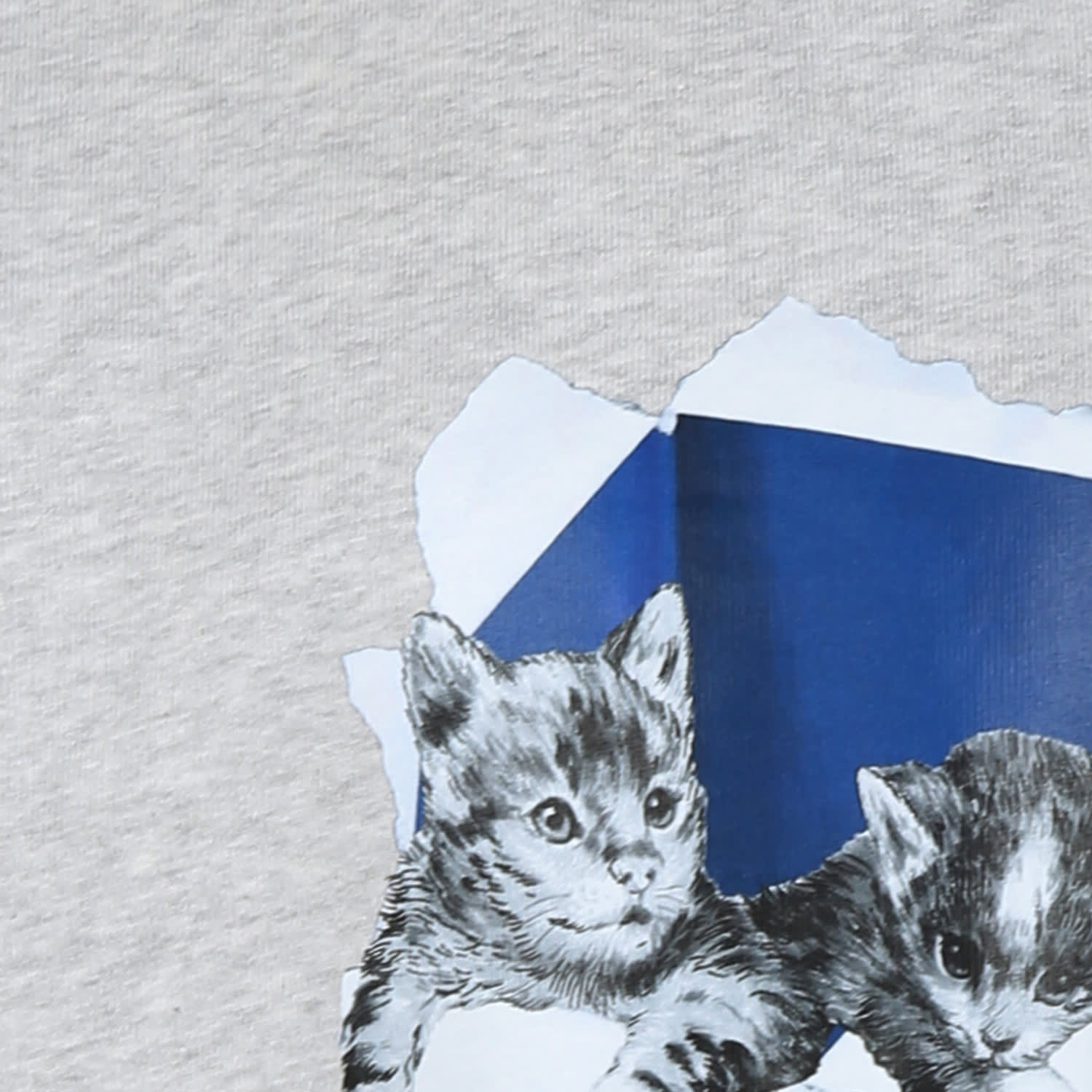 Msgm Grey Sweatshirt For Girl With Logo In Grey