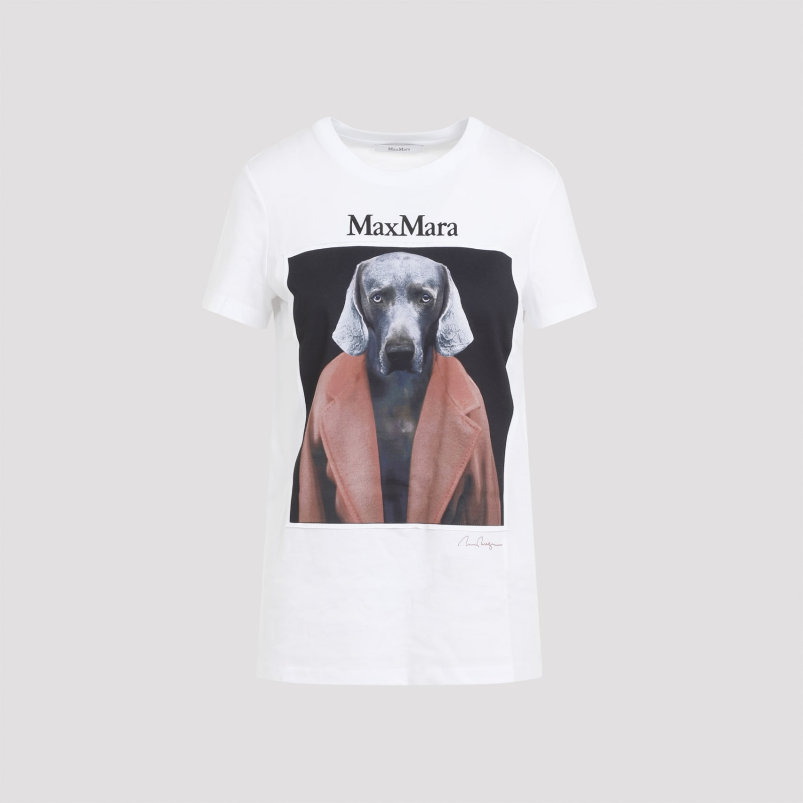 Cipria T-shirt Dog