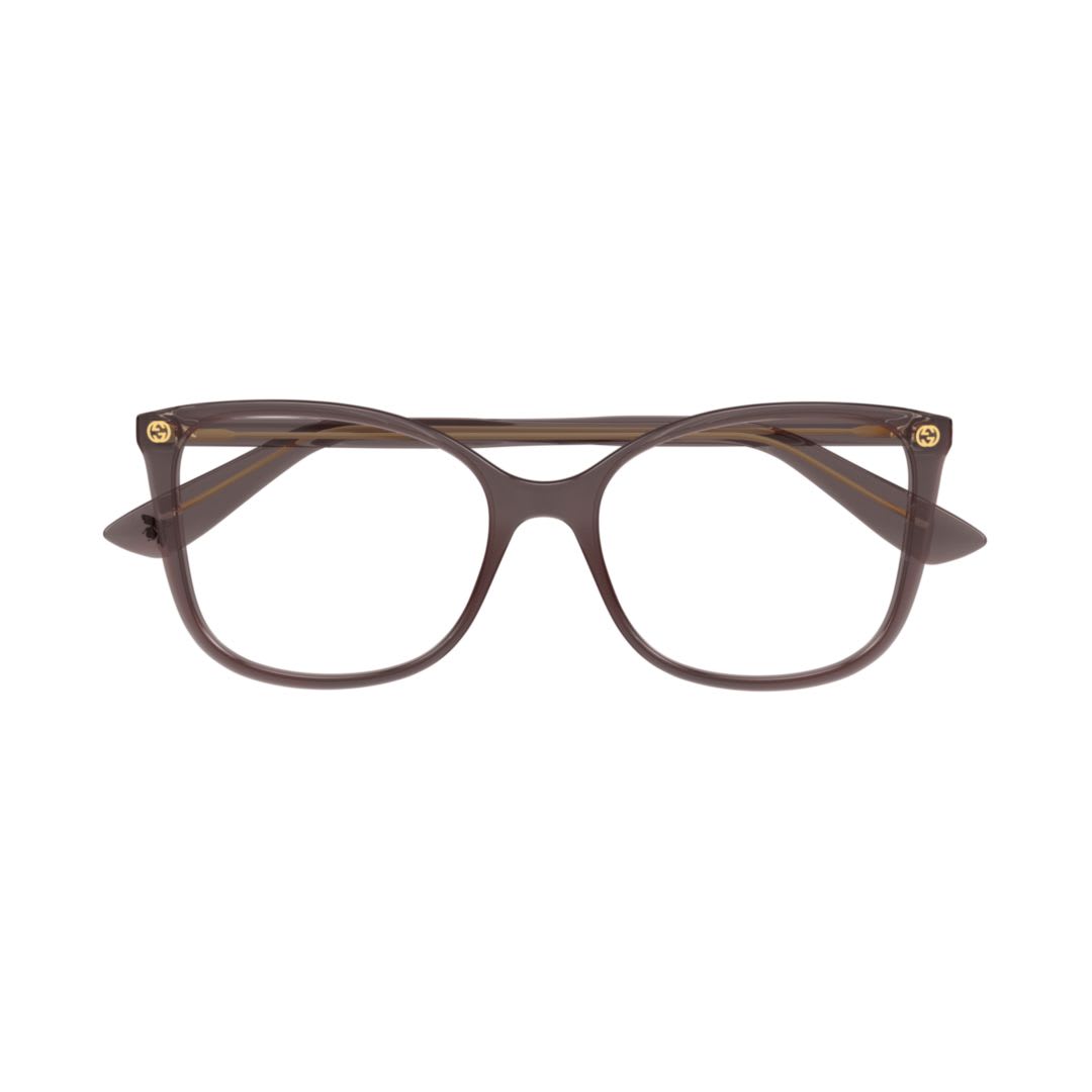 Gucci Gg0026o-019 Brown-brown-transparent In Brown
