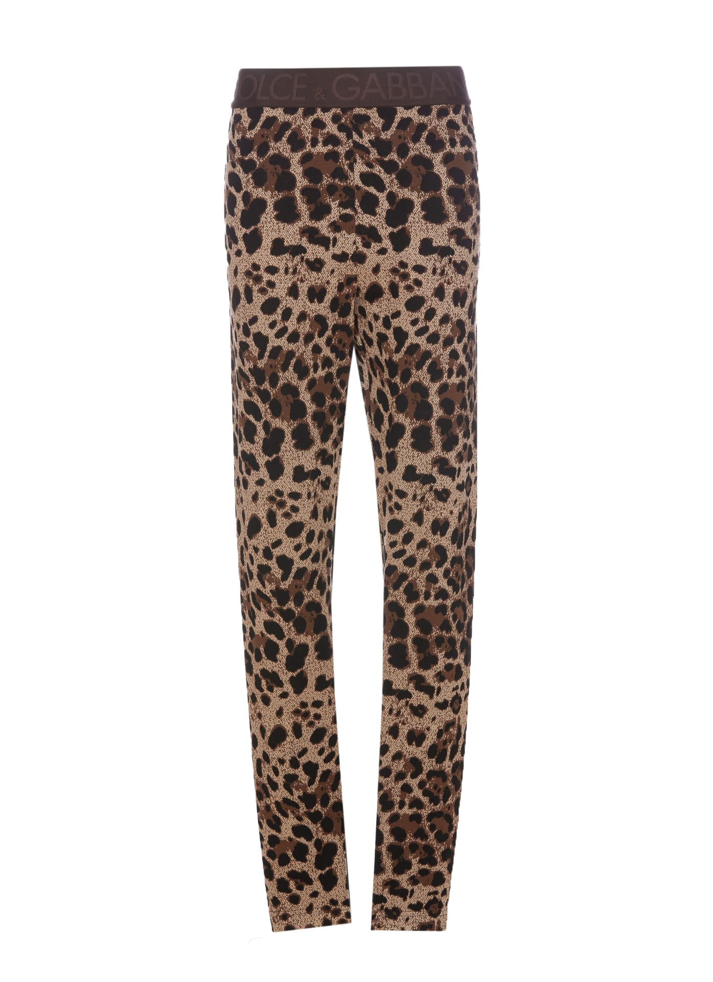 Shop Dolce & Gabbana Leo Leggings In Black