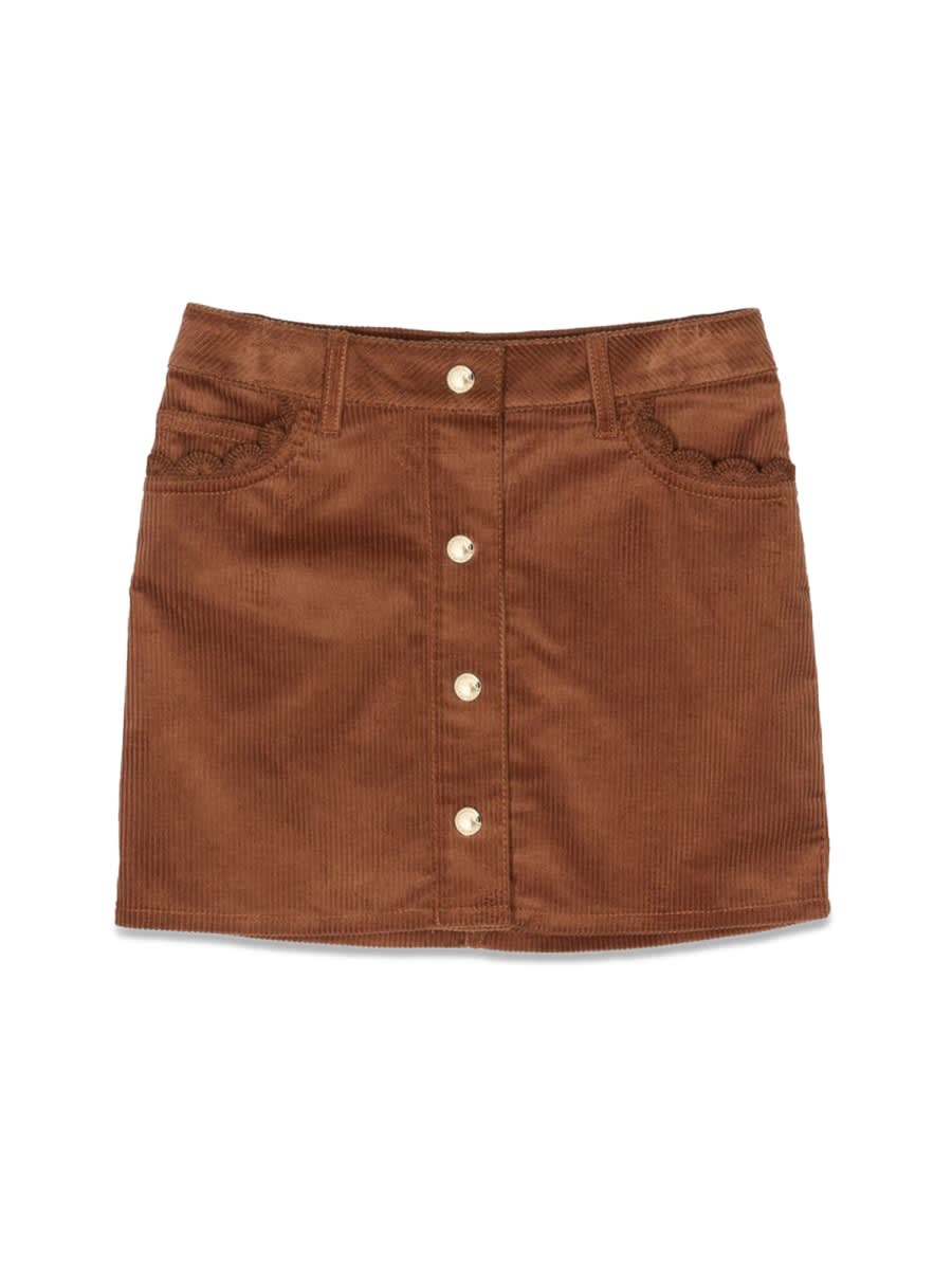 Shop Chloé Velvet Skirt In Brown