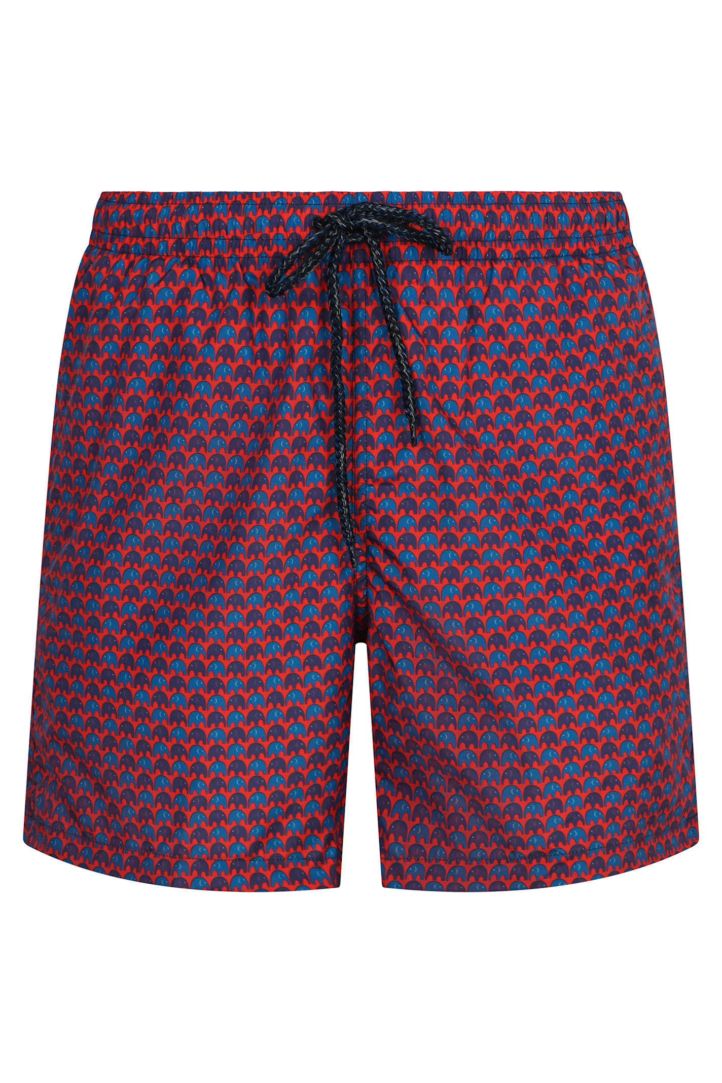 Printed Swim Shorts