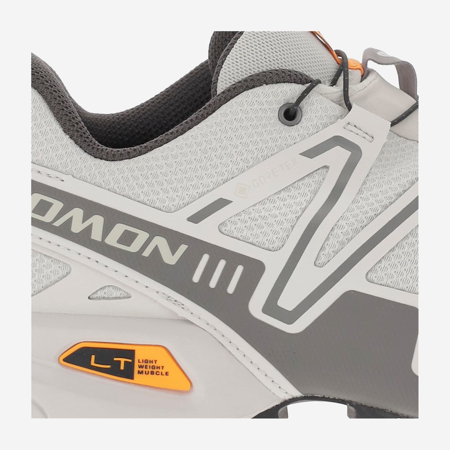 Salomon Speedcross 3 Gore-tex Sneakers In Grey