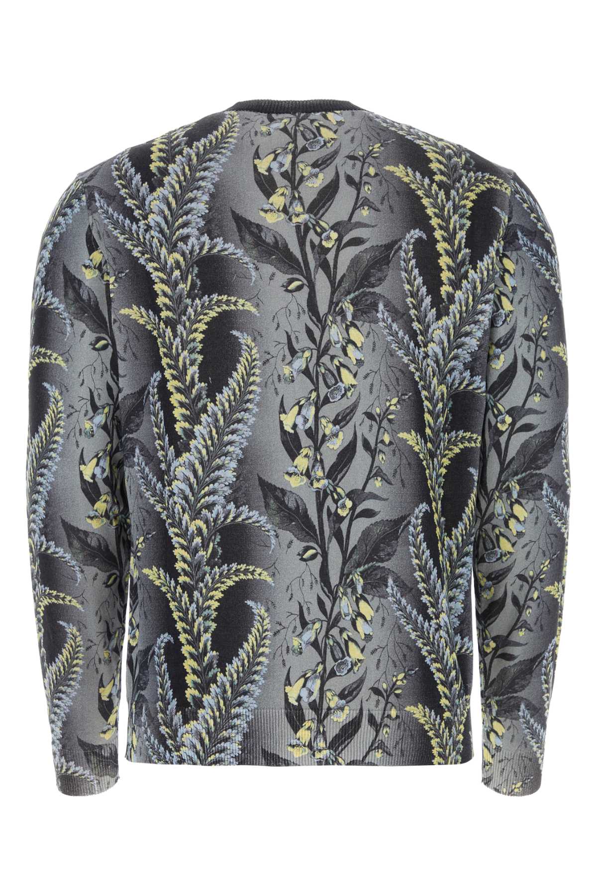 Etro Printed Cotton Sweater In Blue