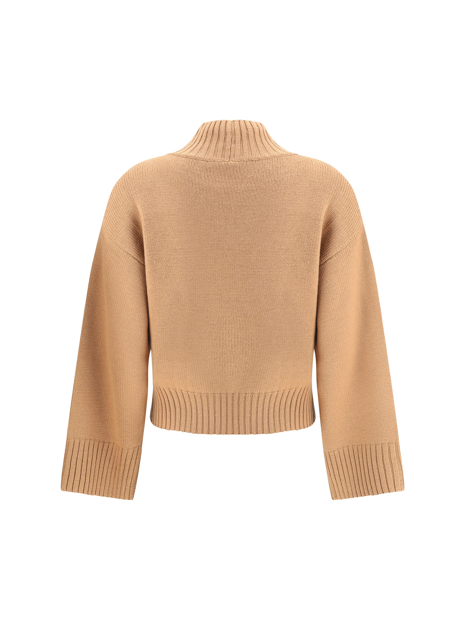 Fabiana Filippi Wool Turtleneck Sweater In Brown