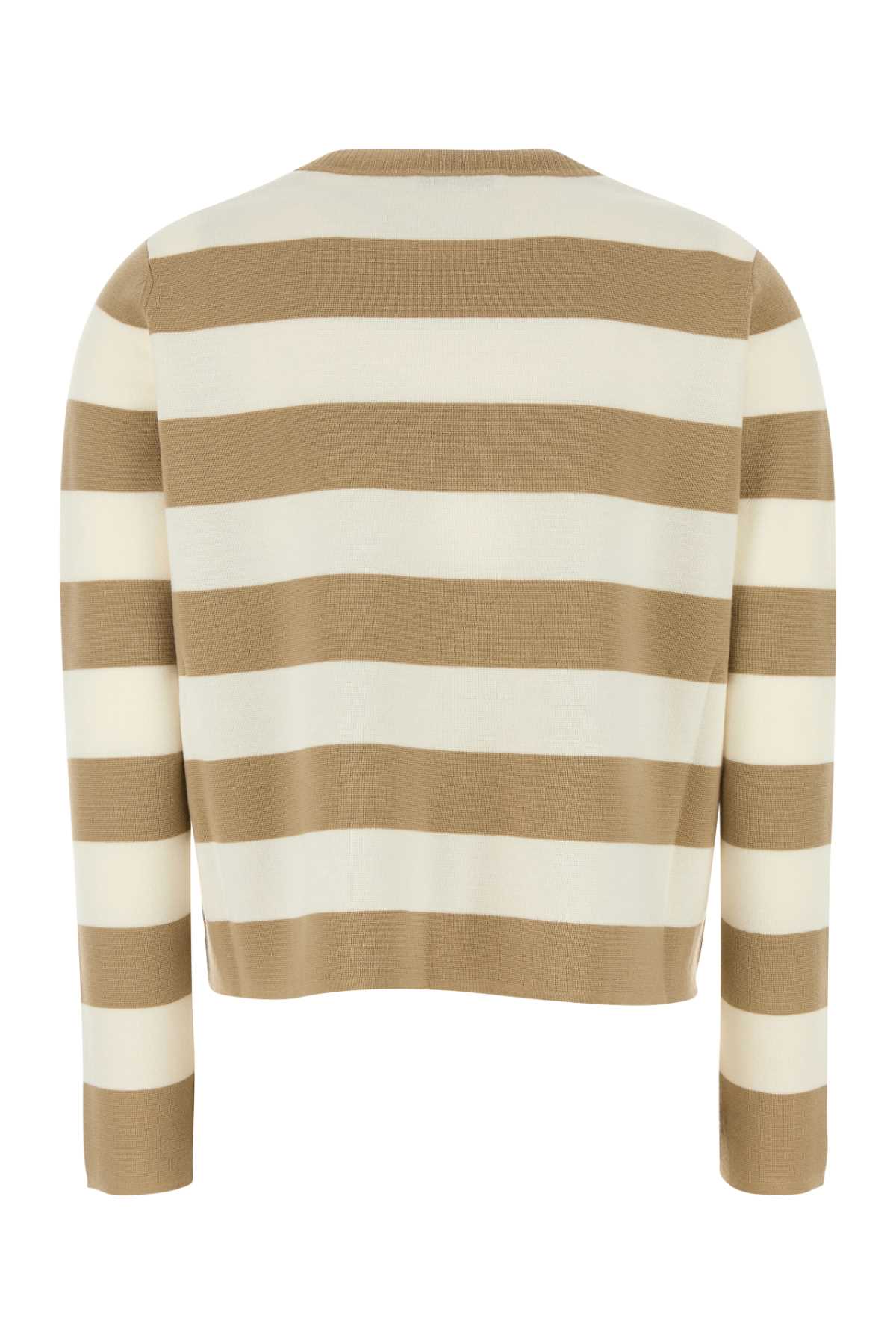 Max Mara Sleeveless Crew Neck Top With Embroidered Detail