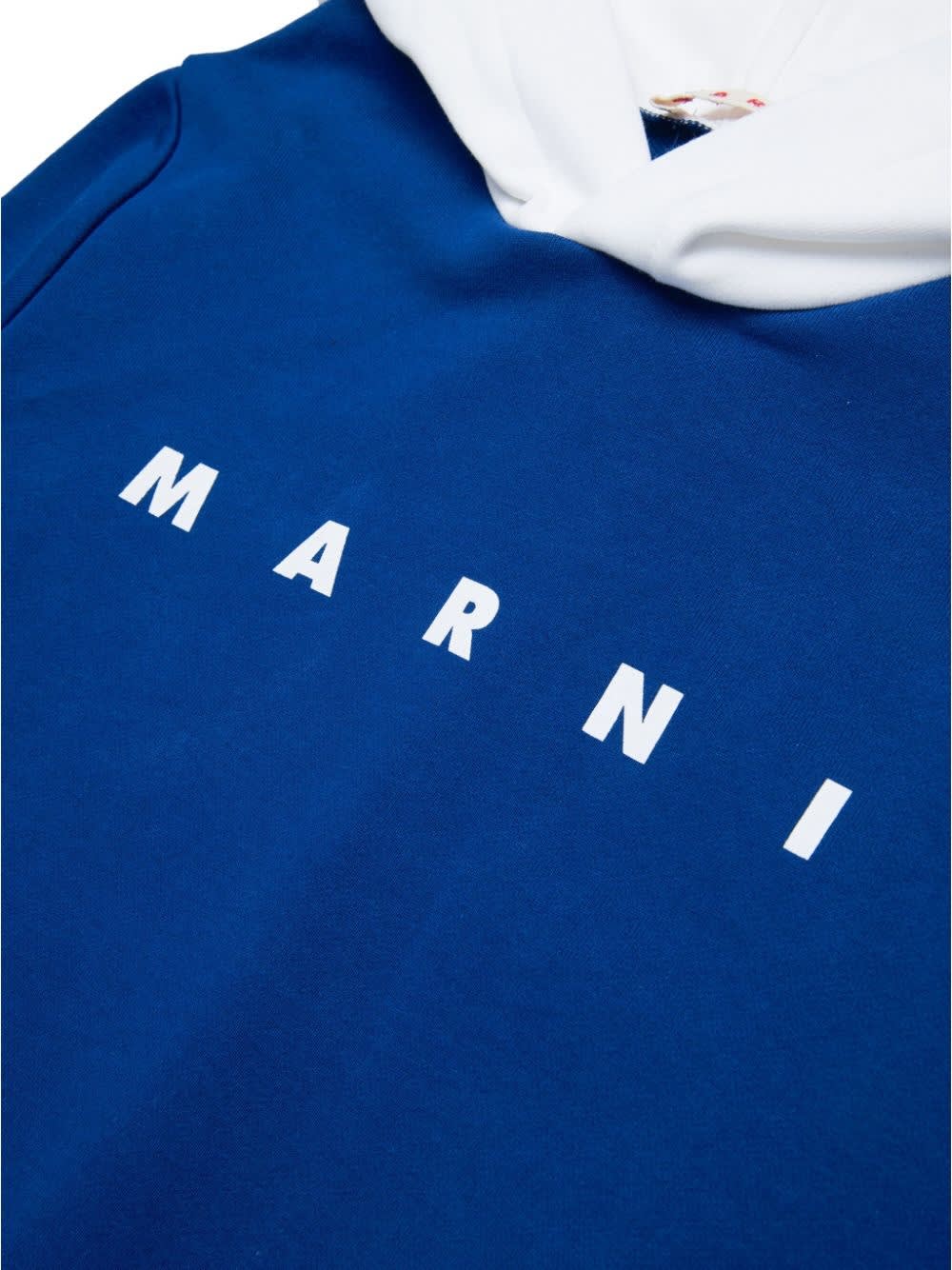 Shop Marni Sweatshirt With Logo In Blue