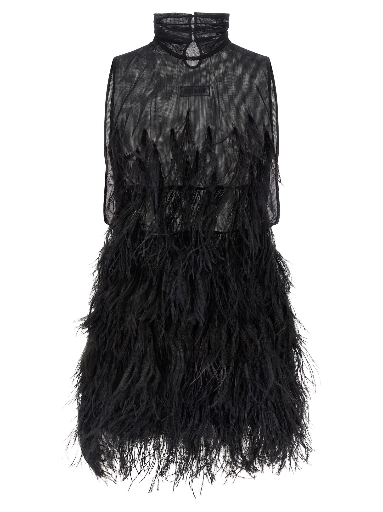 Ostrich Feather Dress
