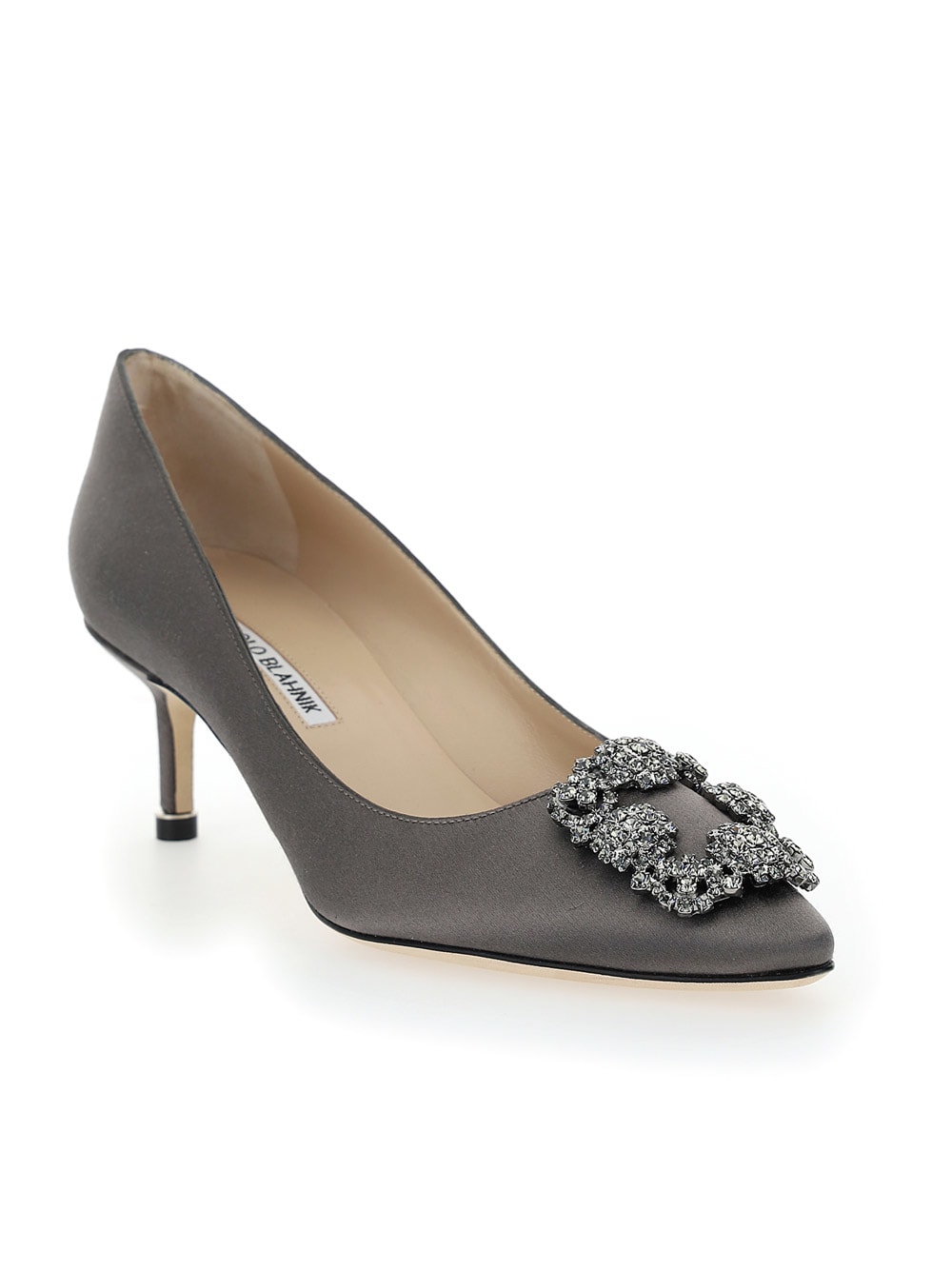 Shop Manolo Blahnik Hangisi Pumps In Dgry