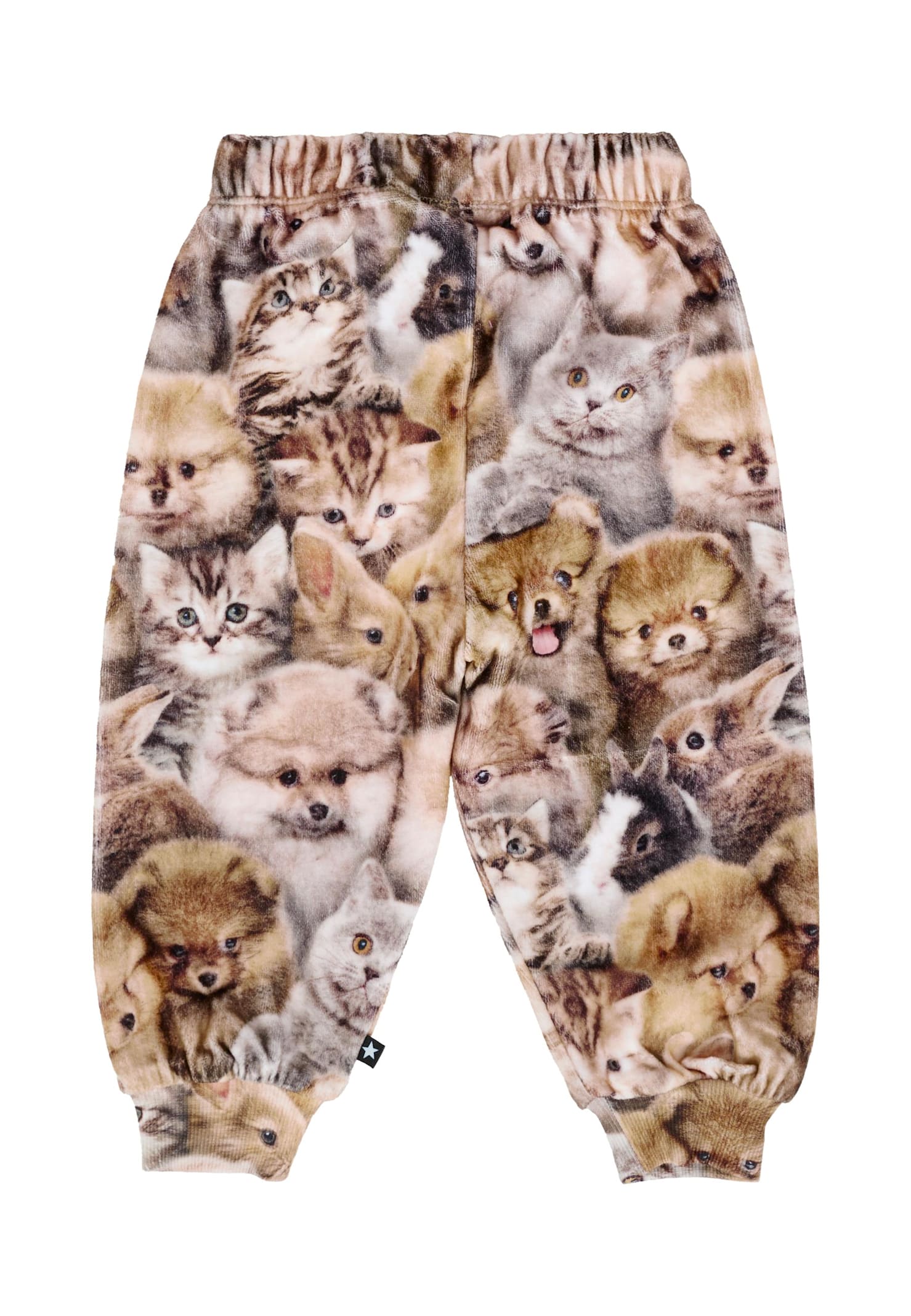 Molo Brown Trousers For Baby Girl With Animal Print In Brown