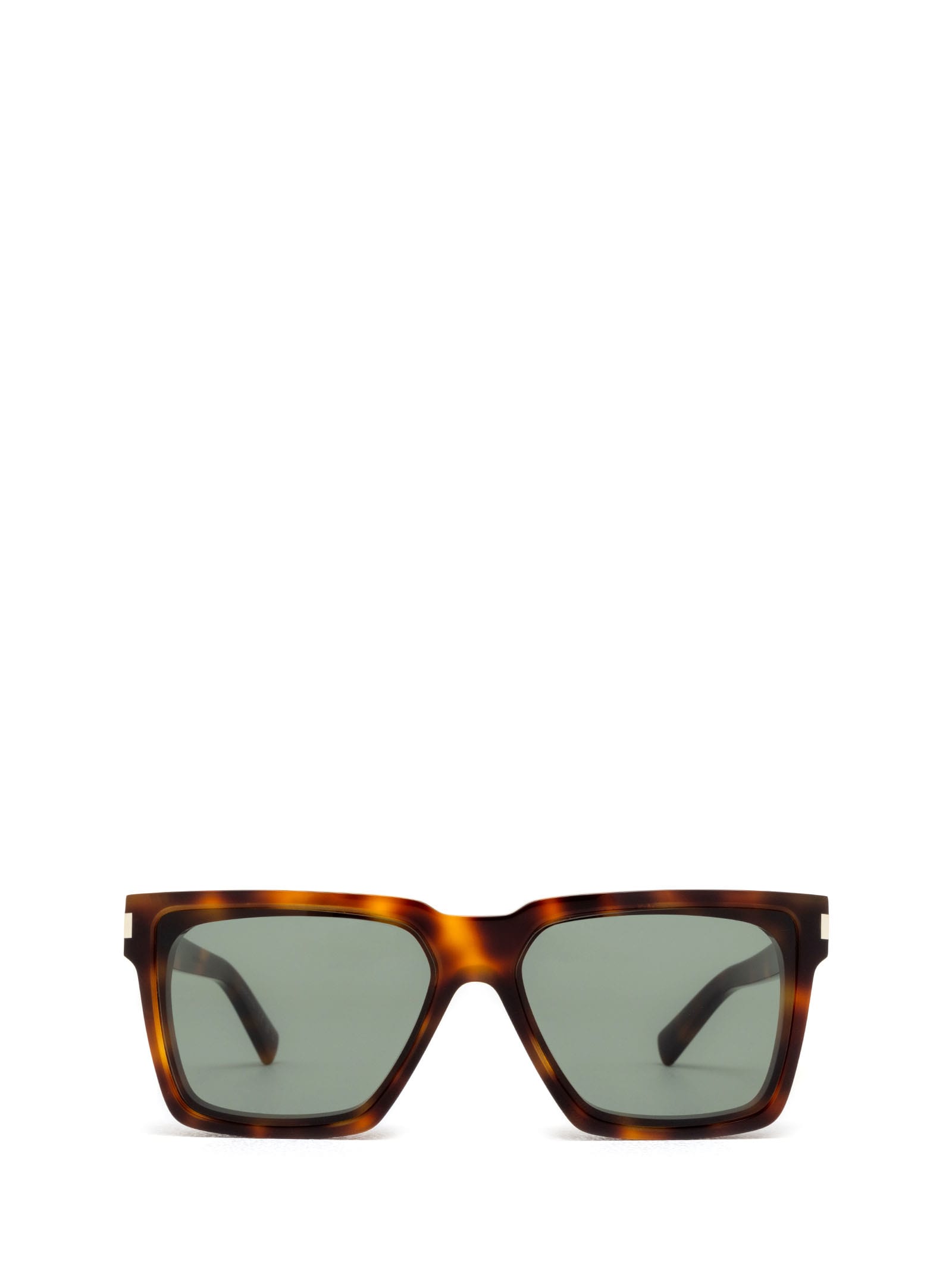 Saint Laurent Sl 610 Havana Sunglasses In 003 Havana Havana Green