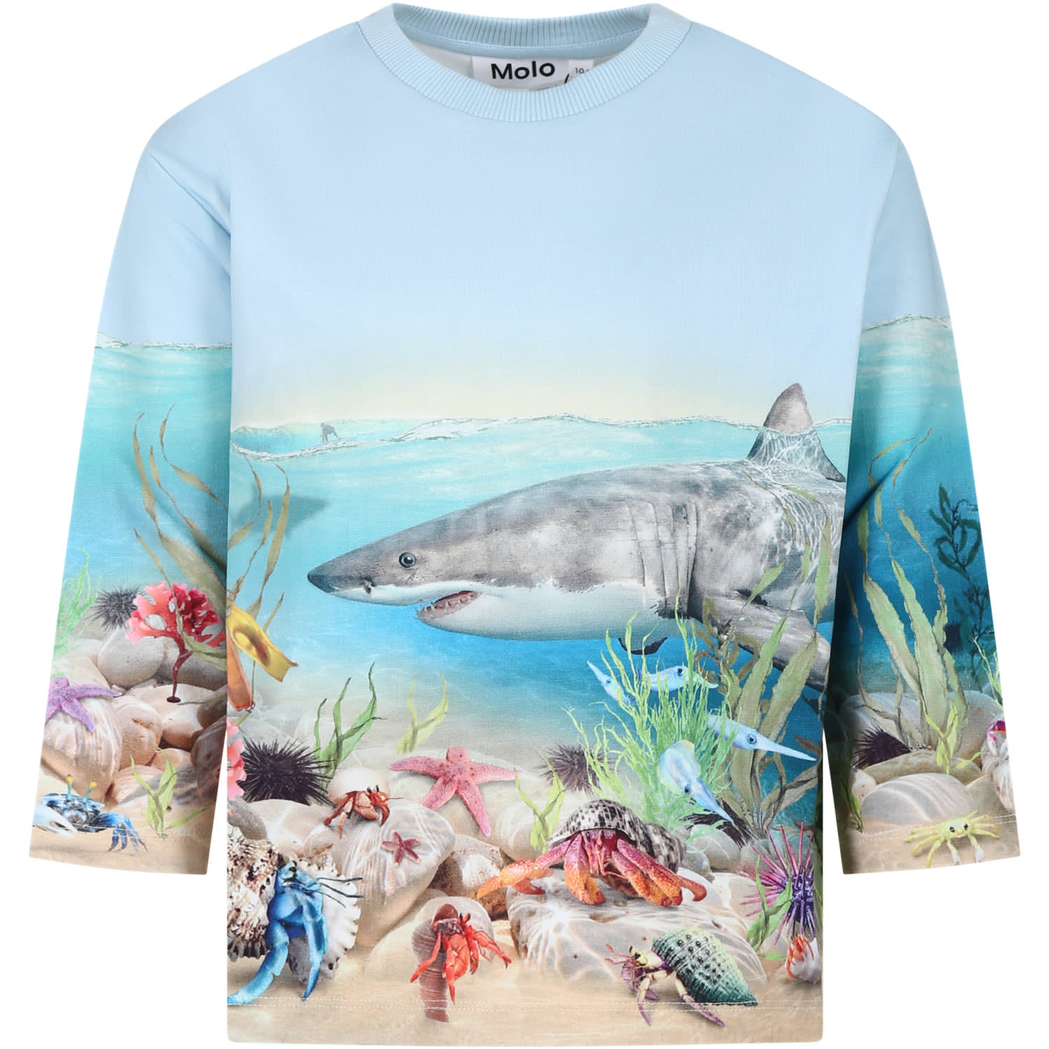 Molo Kids' Light Blue Sweatshirt For Boy With Shark Print