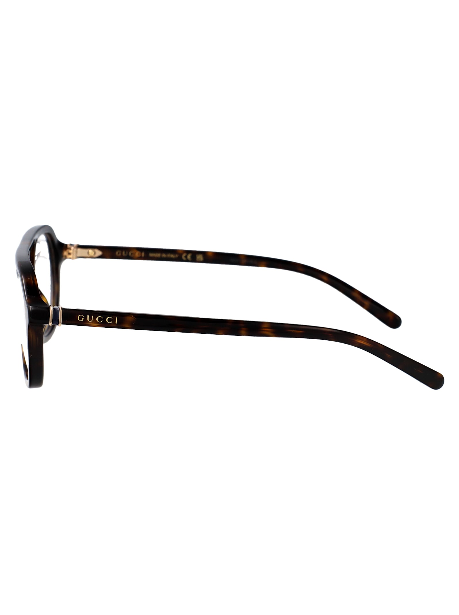Shop Gucci Gg1673o Glasses In Havana-havana-transparent