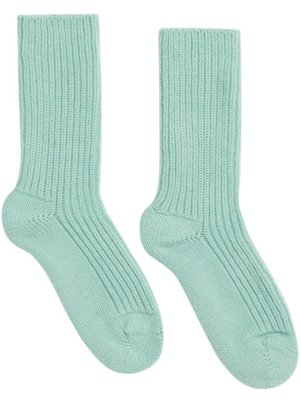Shop Alanui Ribbed Knit Socks In Anisette