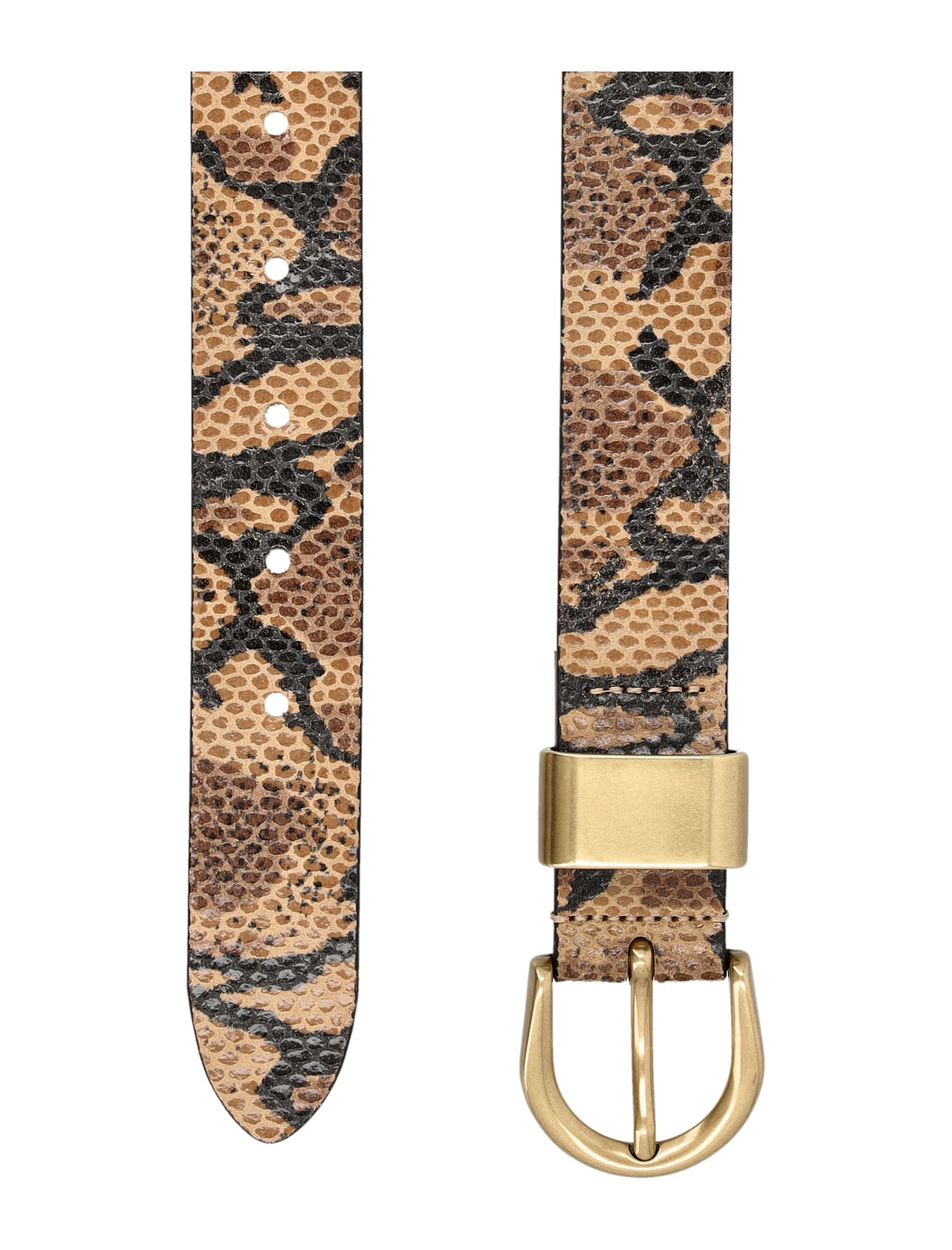 Sessun Belts In Brown
