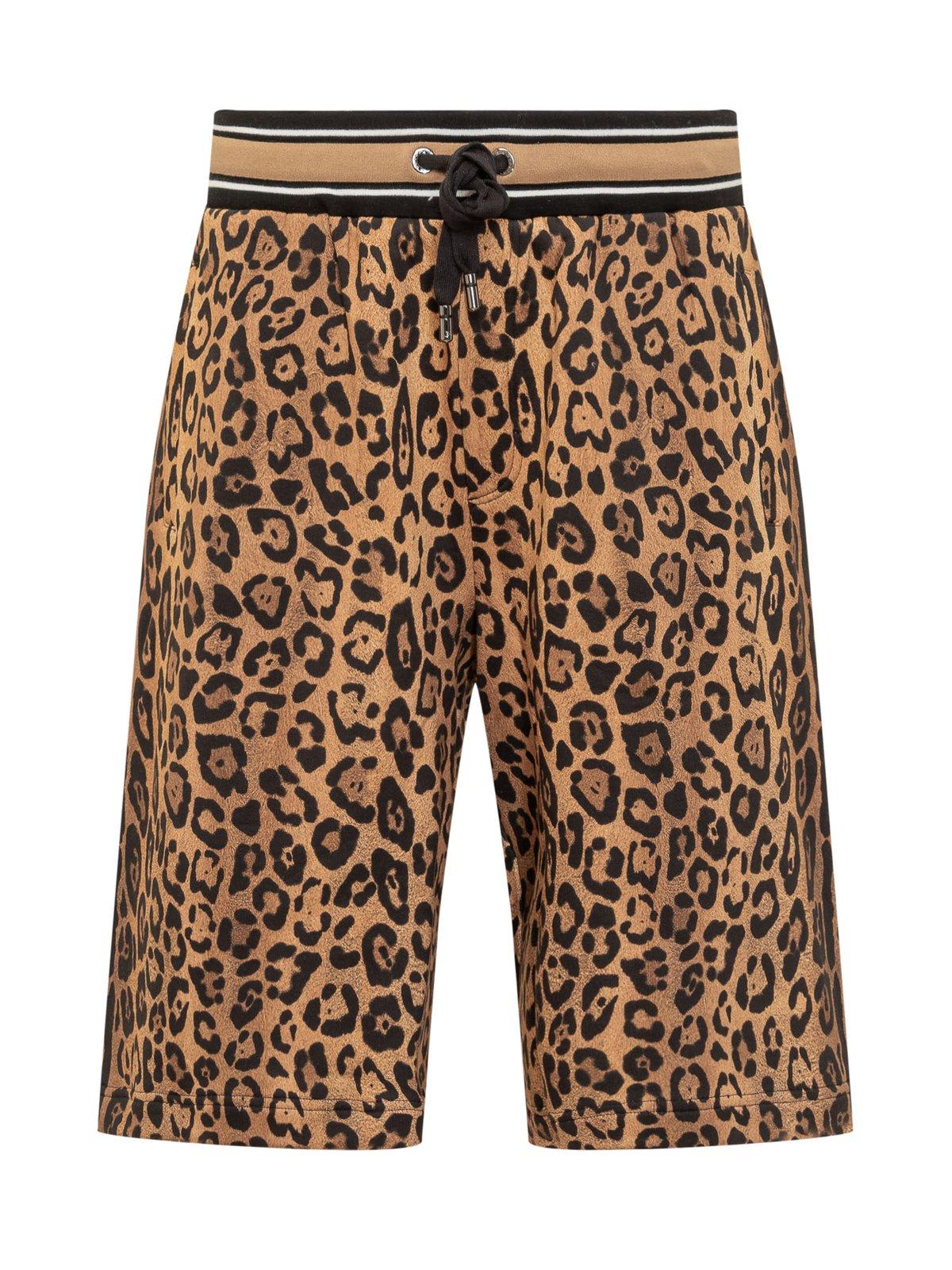 Shop Dolce & Gabbana Cheetah-printed Drawstring Track Shorts In Brown/black