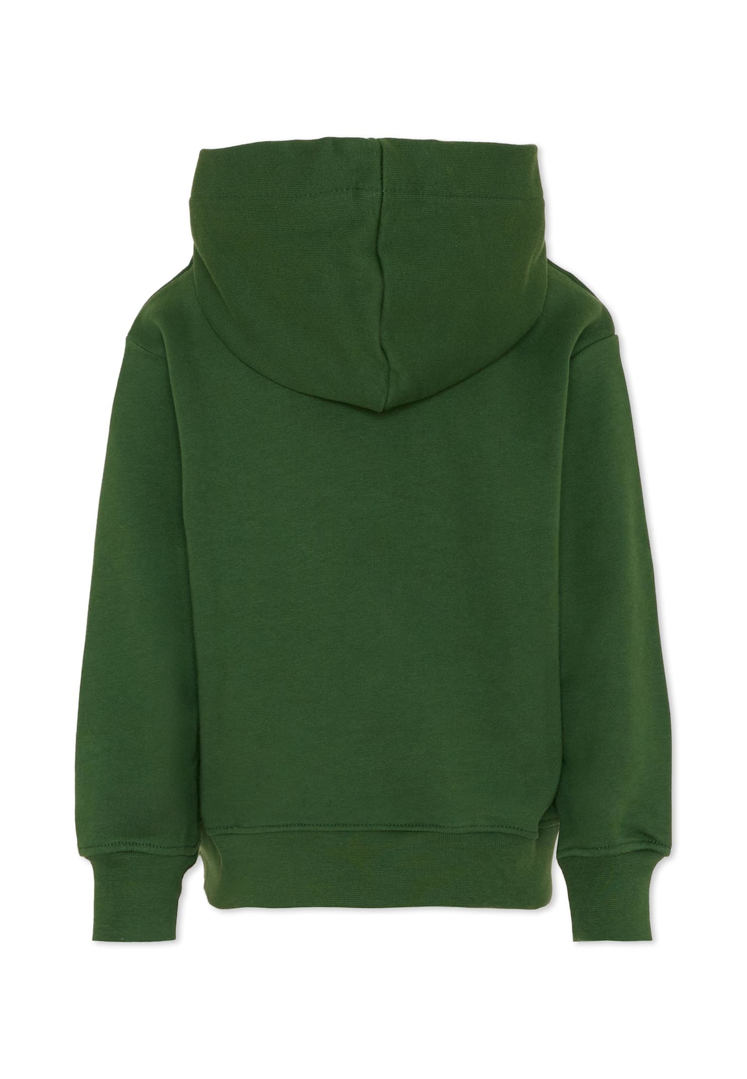 Msgm Green Sweatshirt For Kids With Logo In Green