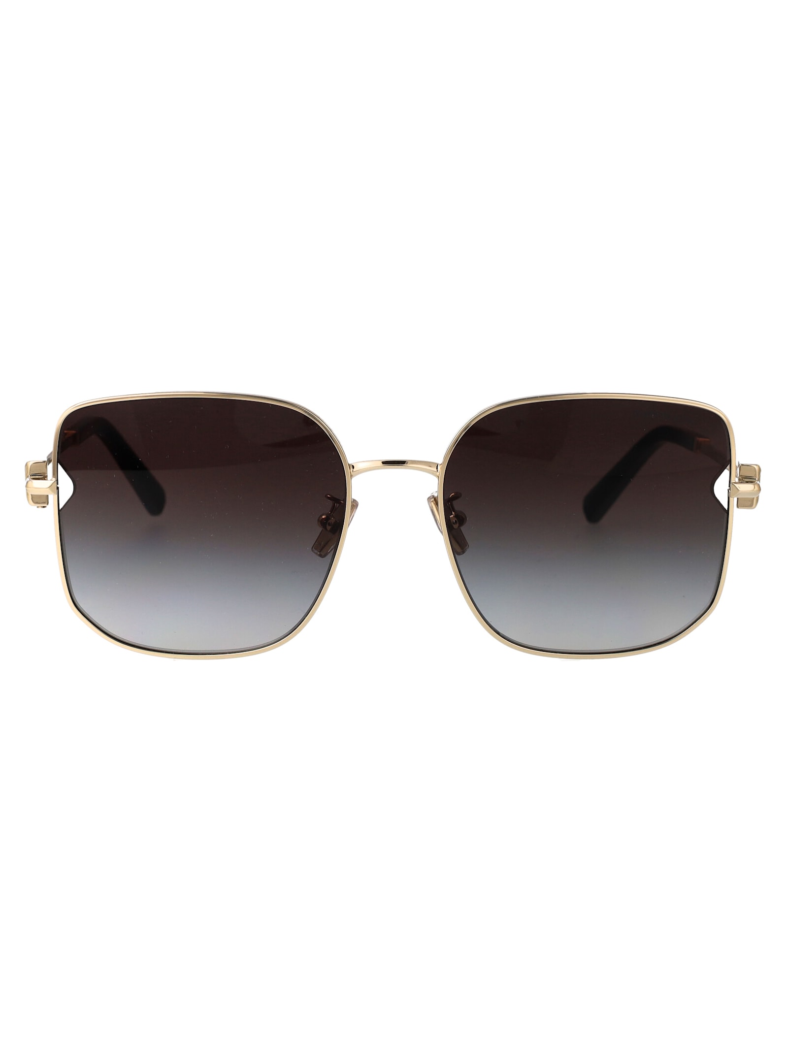 0tf3105d Sunglasses