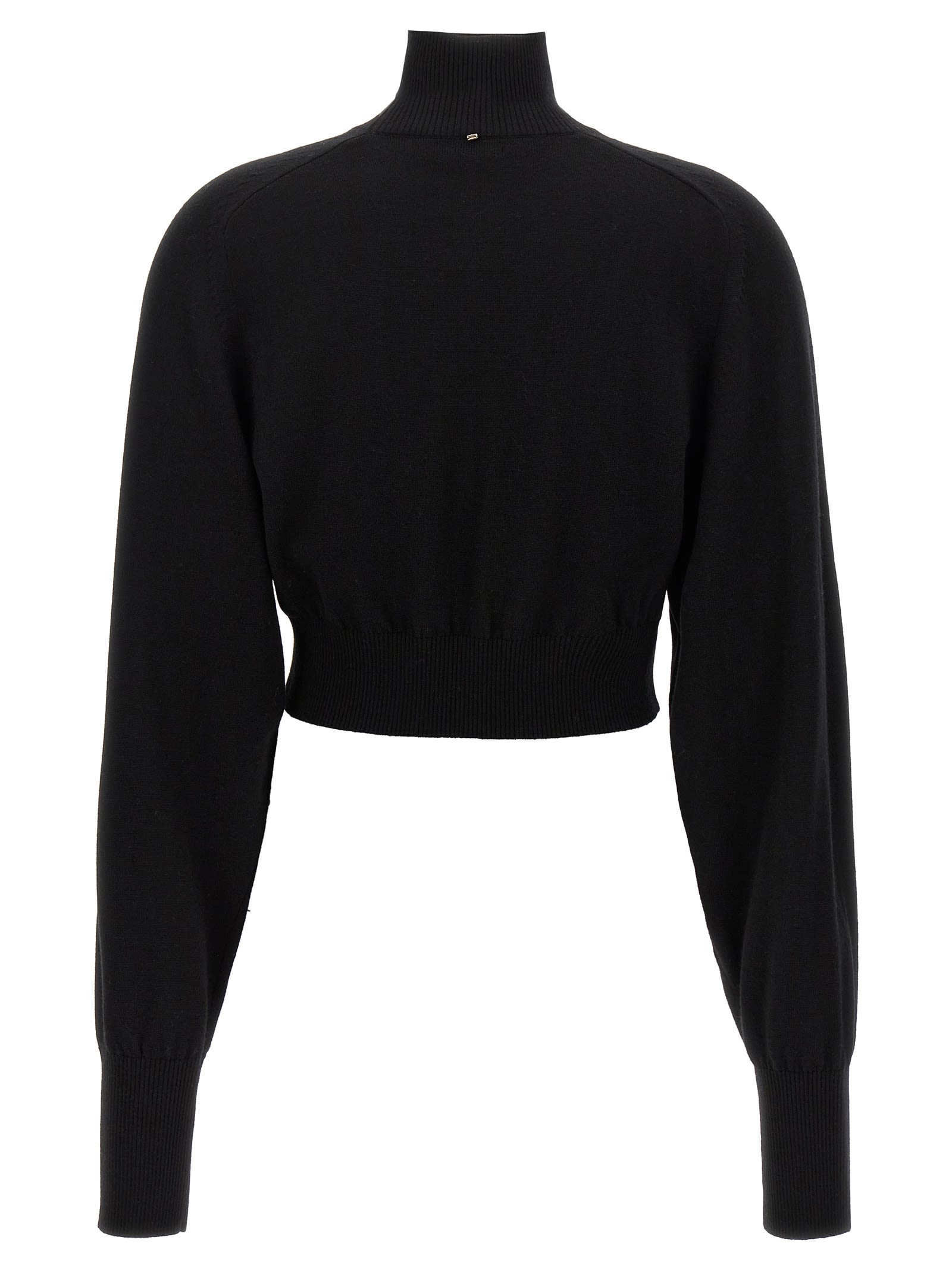 Sportmax Short Turtleneck Sweater In Black