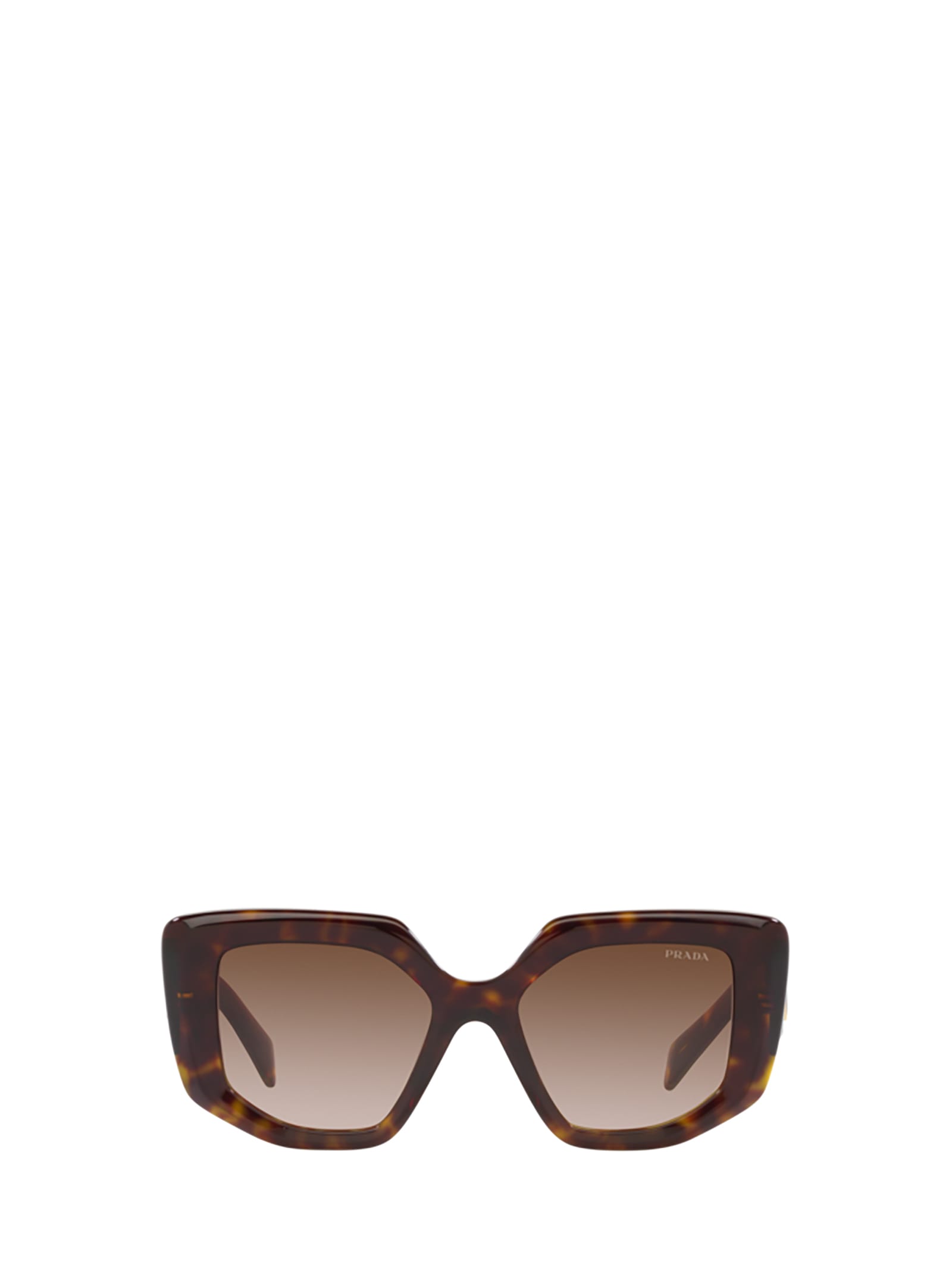 Shop Prada Pr 14zs Tortoise Sunglasses