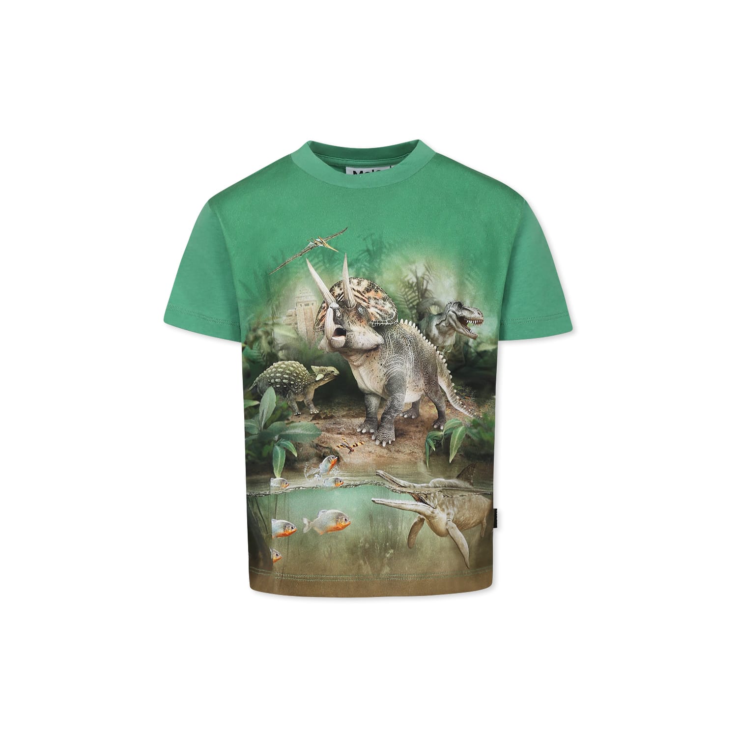 Molo Boy's Riley Dinosaur Graphic T-shirt In Green