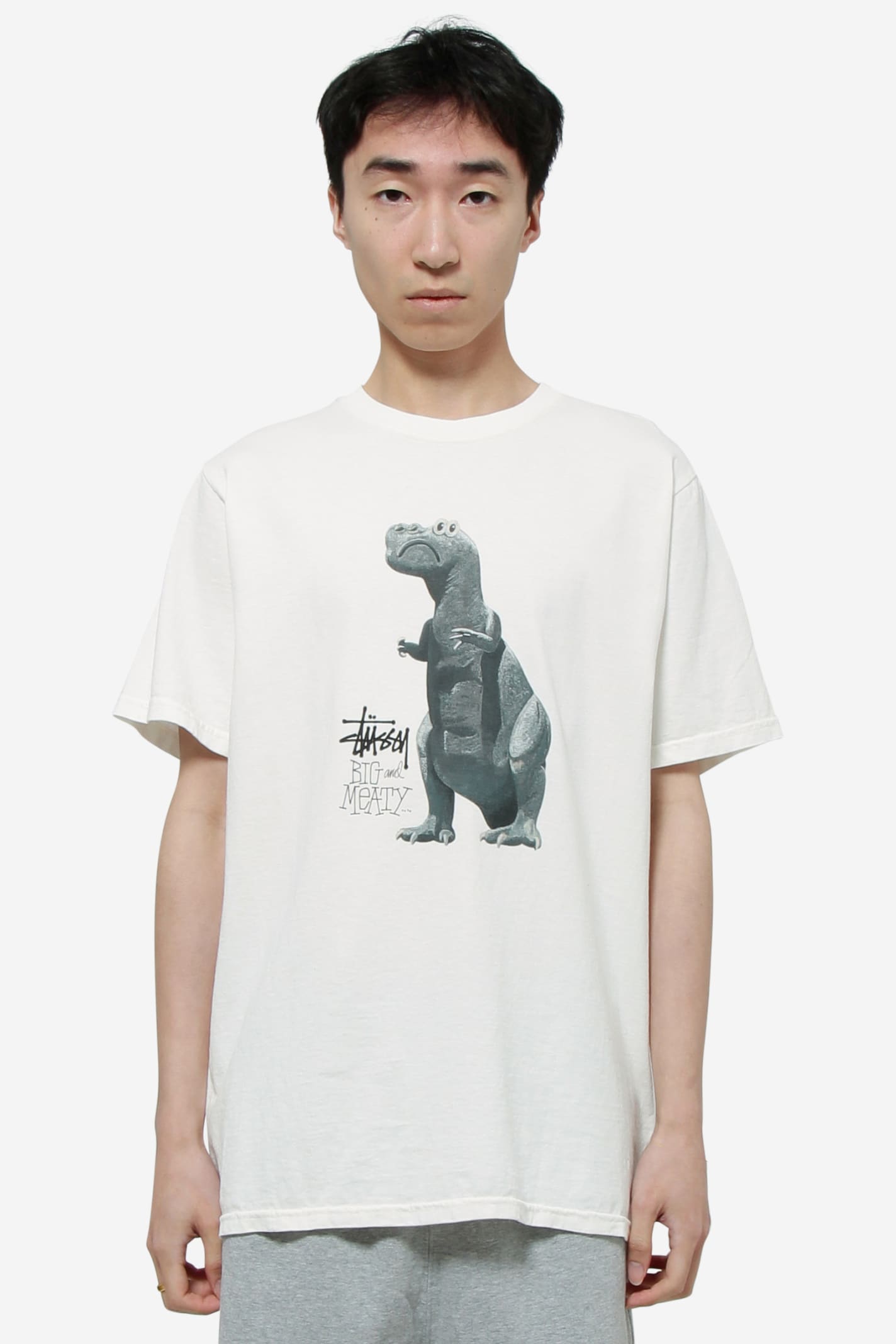 STUSSY BIG & MEATY T-SHIRT