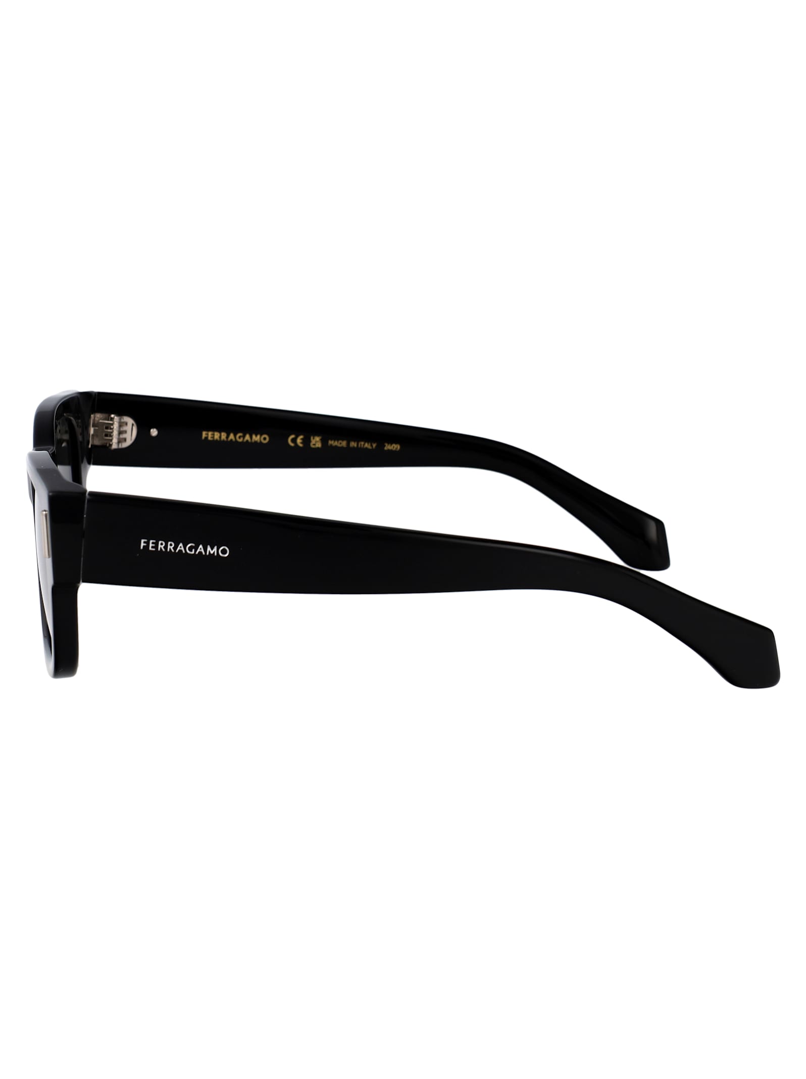 Ferragamo Sf2064se Sunglasses In Black