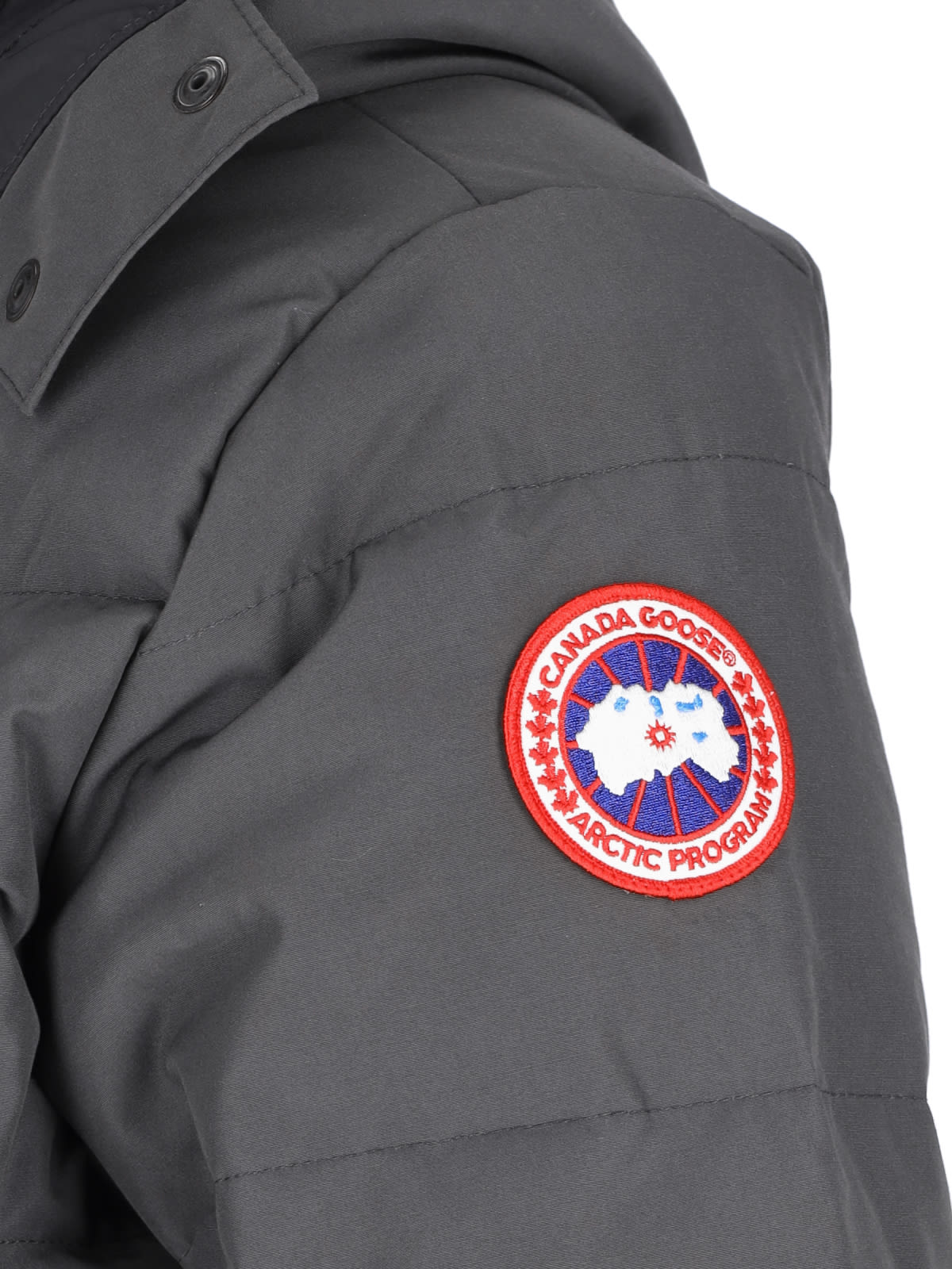 Shop Canada Goose Parka Wyndham In Graphite