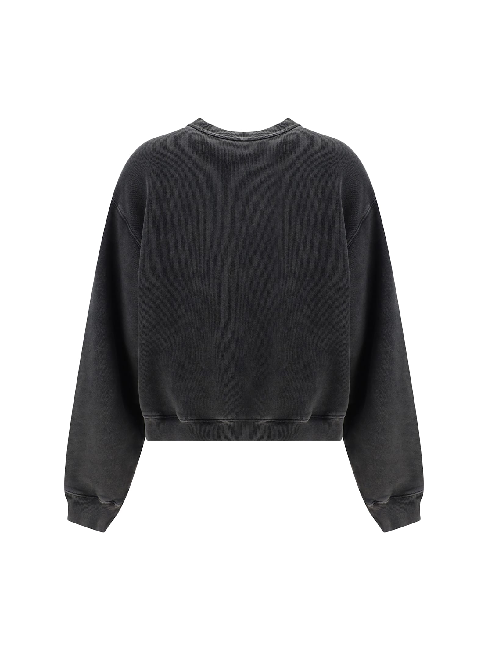 Shop Alexander Wang Sweatshirt In Washed Cedar