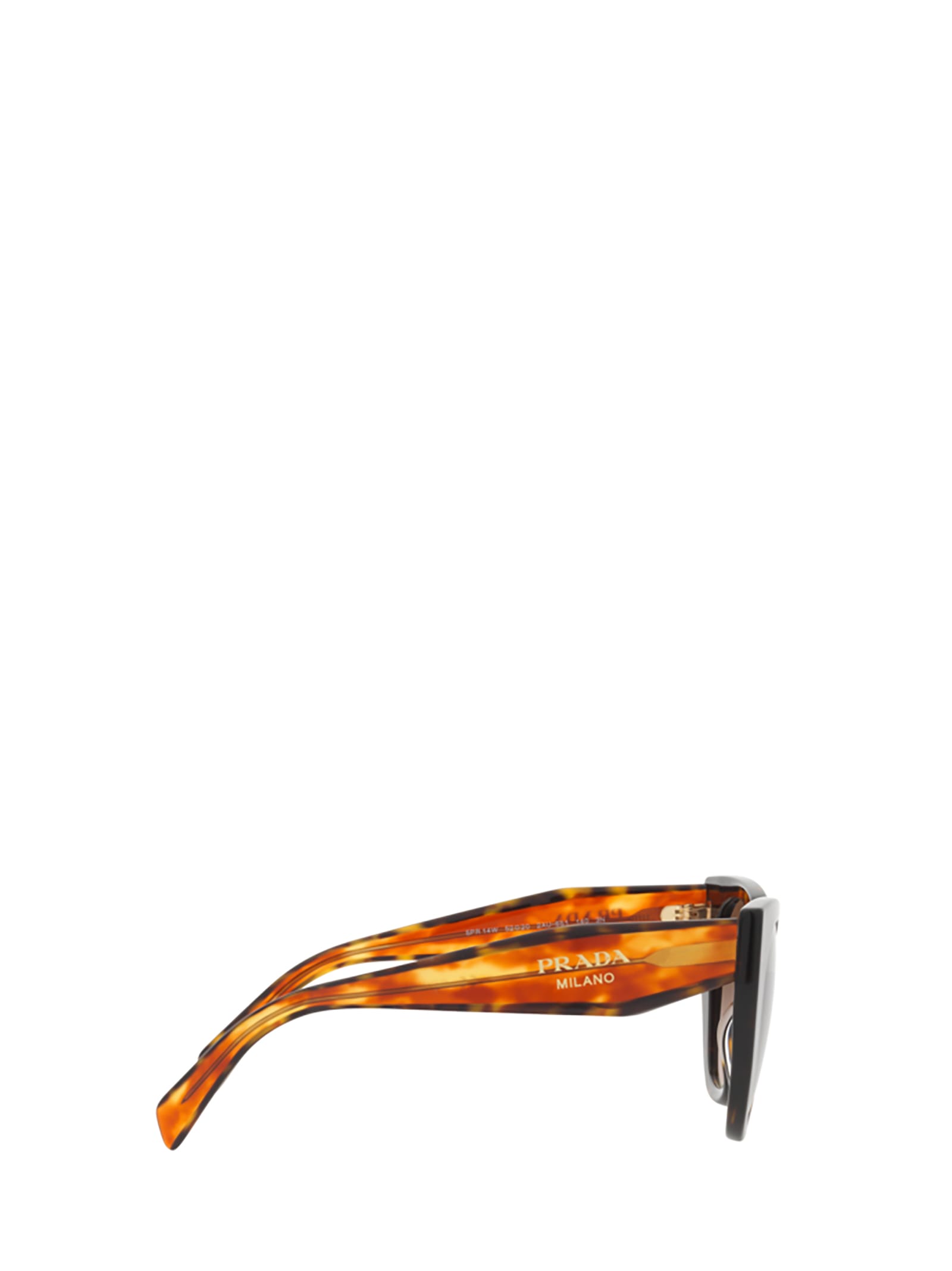 Shop Prada Pr 14ws Tortoise Sunglasses