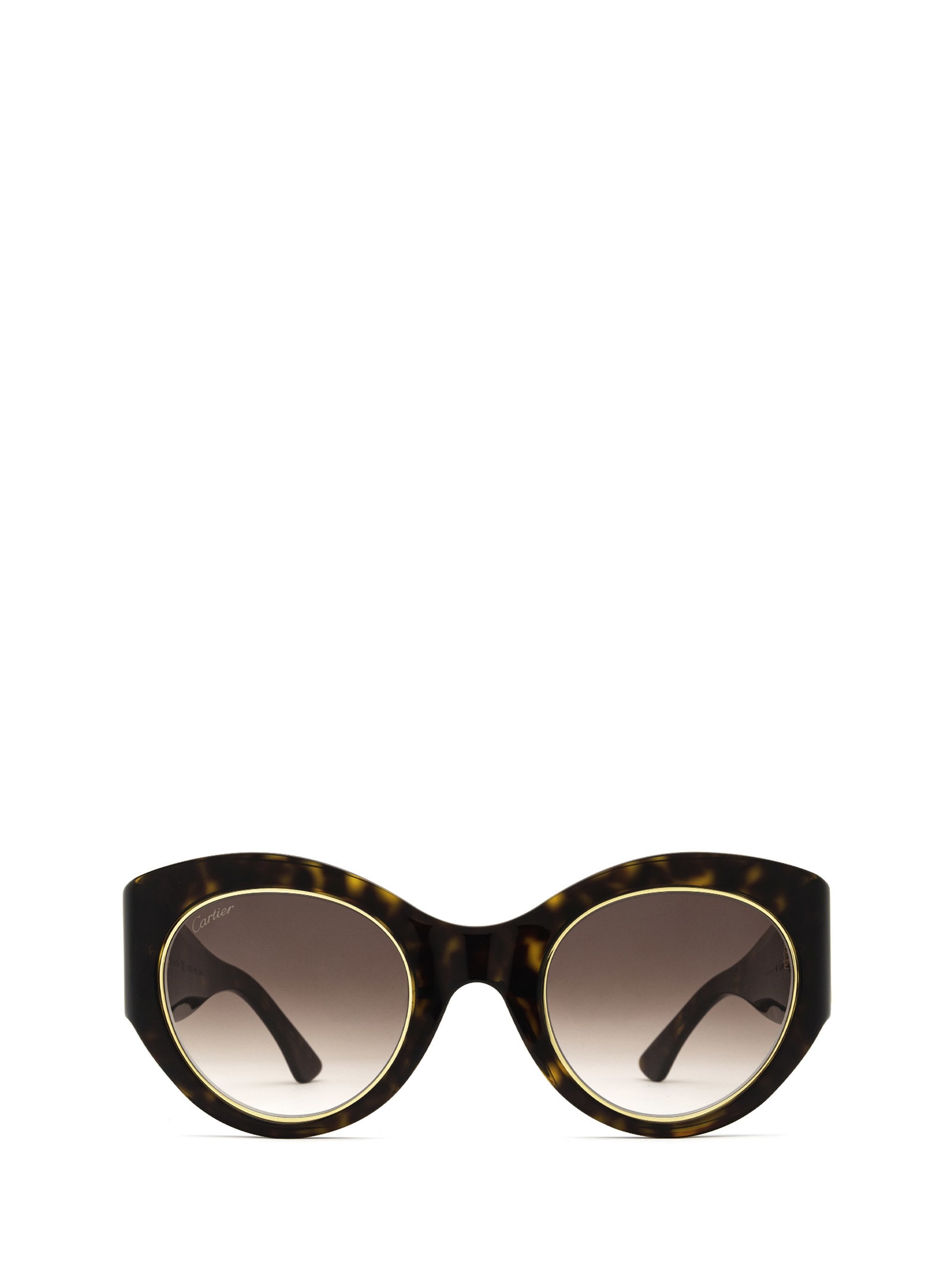 Cartier Eyewear Cartier Ct0305s Havana Sunglasses