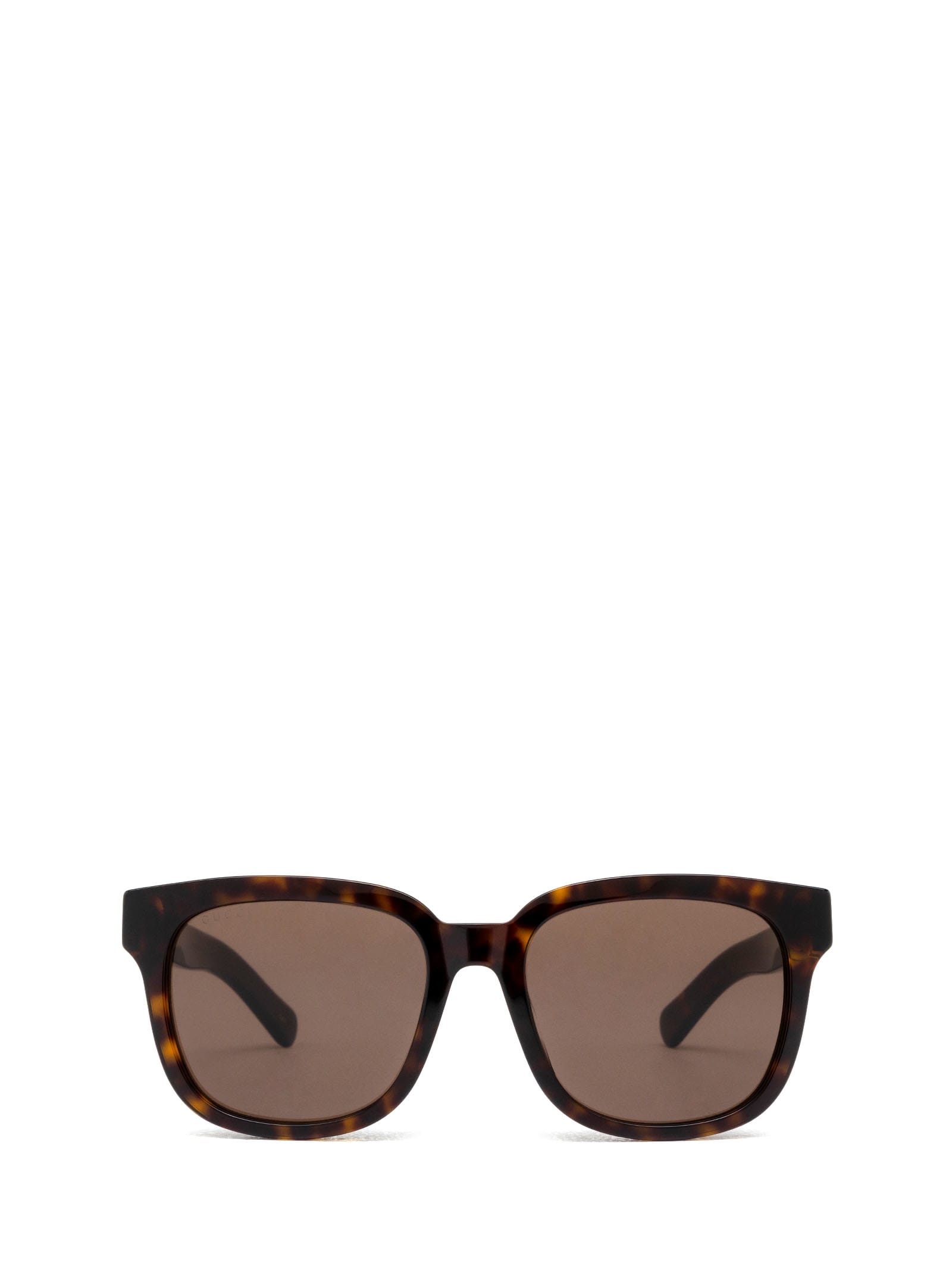 Gucci Gg1512sk Havana Sunglasses In Multi