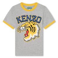 Shop Kenzo Gray T-shirt For Boy With Iconic Tiger And Logo In Grey