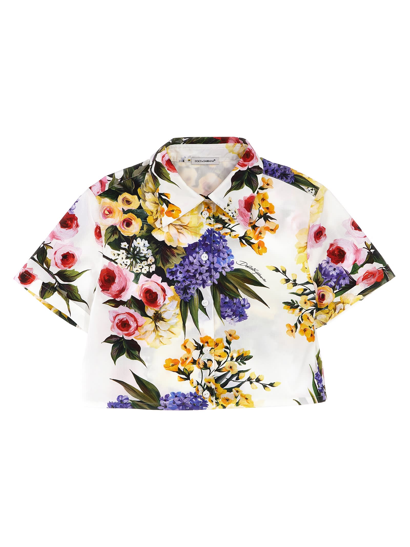 Shop Dolce & Gabbana Giardino Shirt