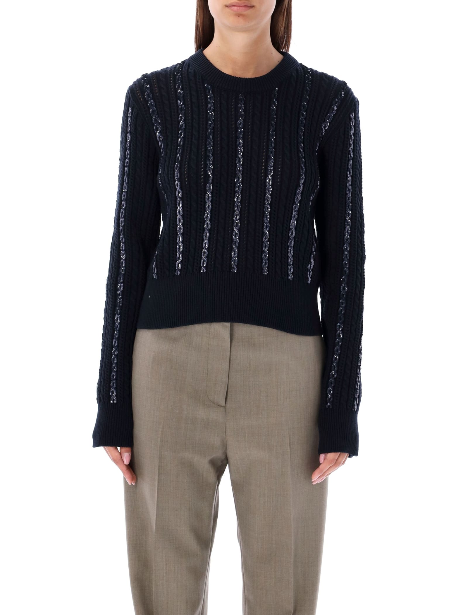 Golden Goose Sweater Sequin In Blue